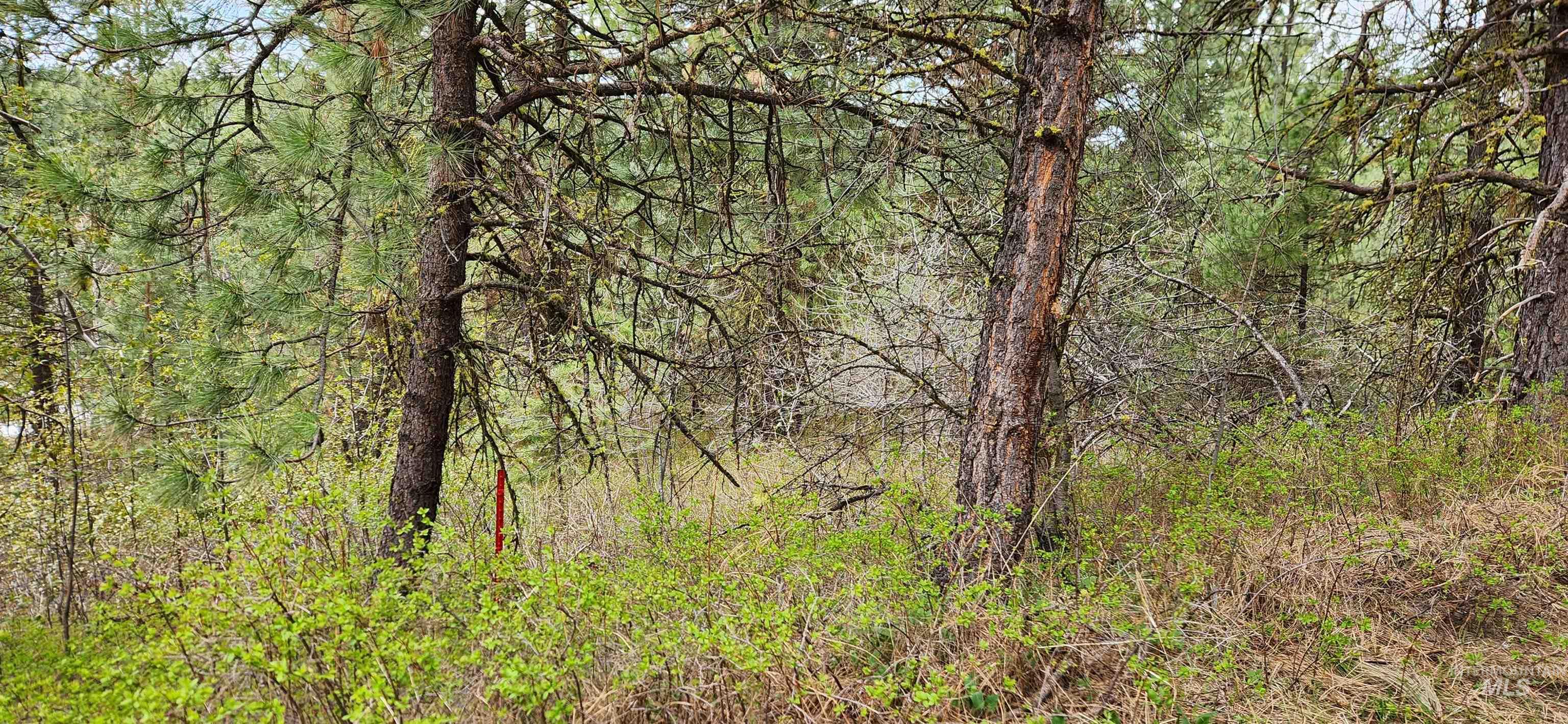 Tbd Outlaw Trail Property Photo 4
