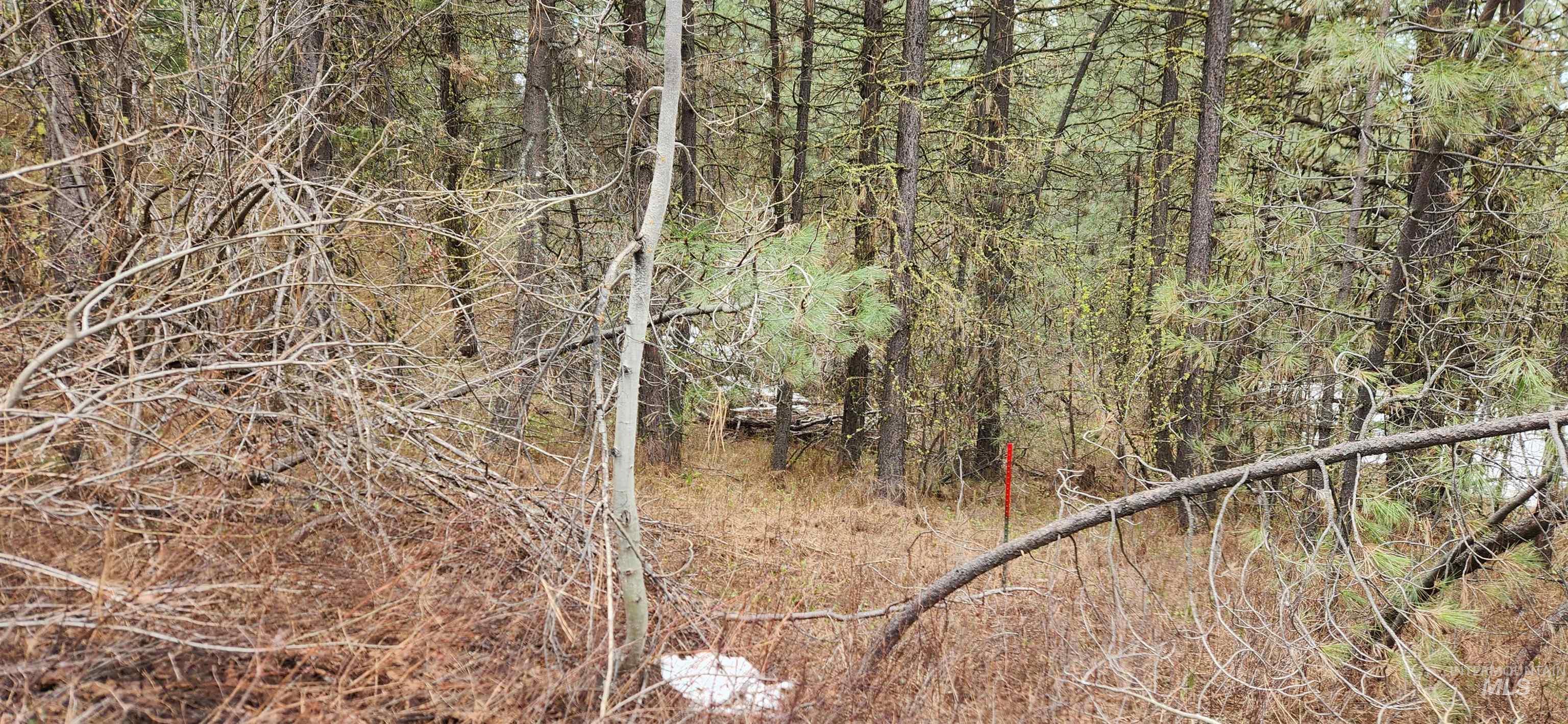 Tbd Outlaw Trail Property Photo 6