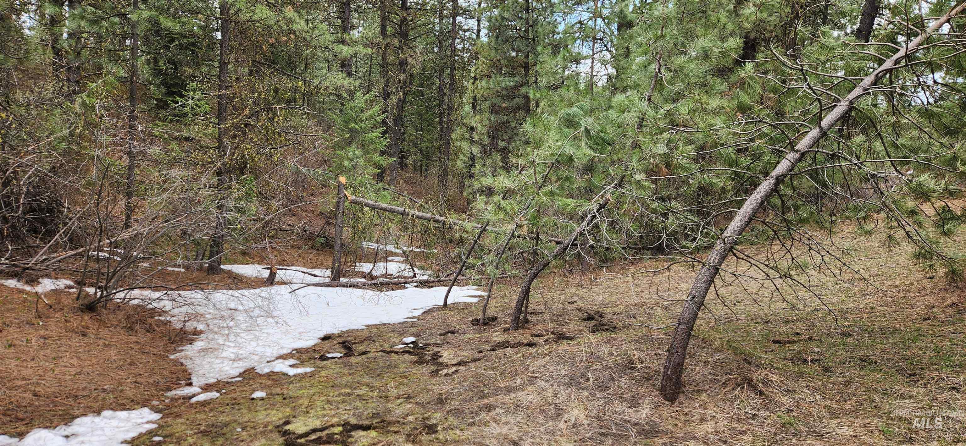Tbd Outlaw Trail Property Photo 7