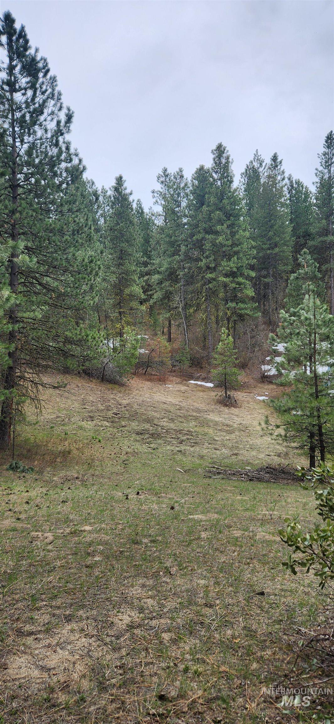 Tbd Outlaw Trail Property Photo 9