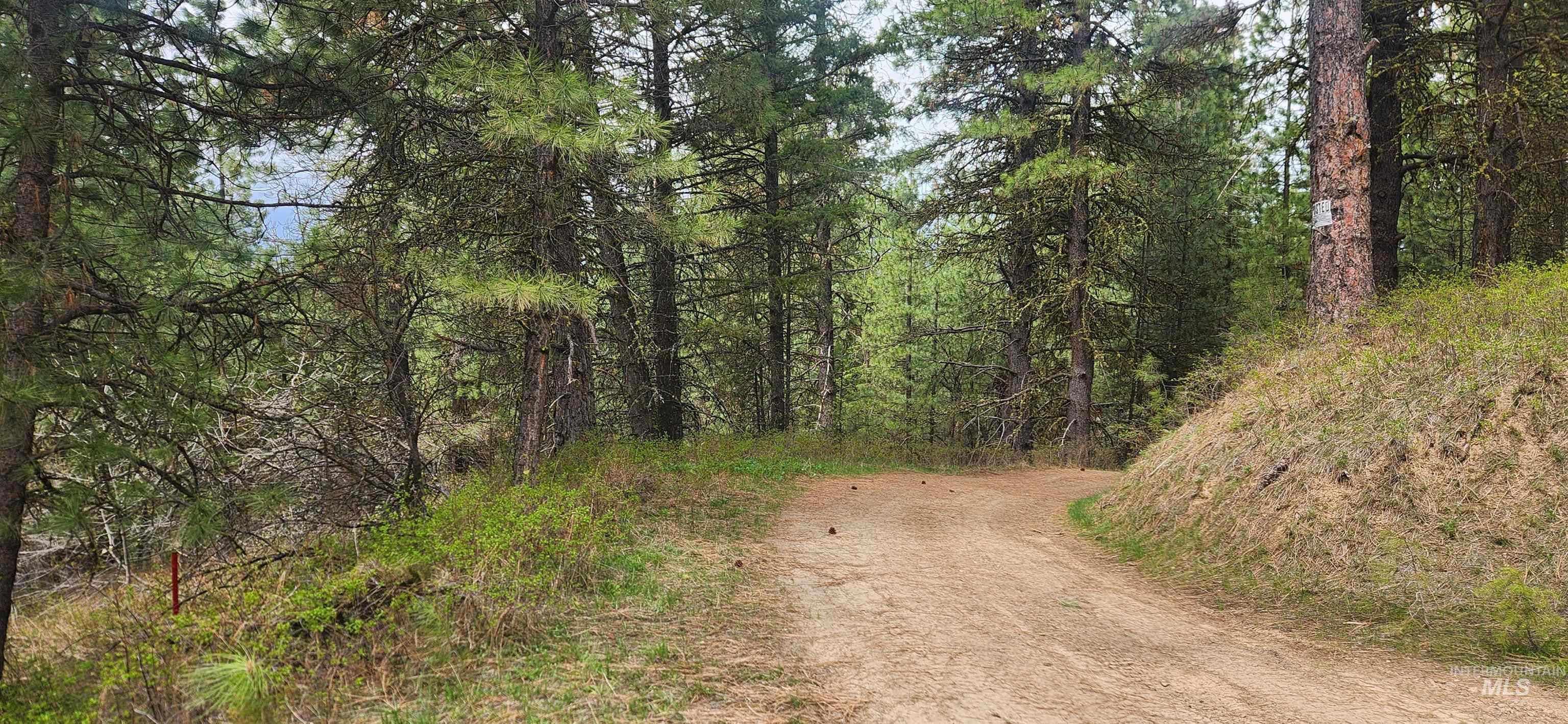 Tbd Outlaw Trail Property Photo 14