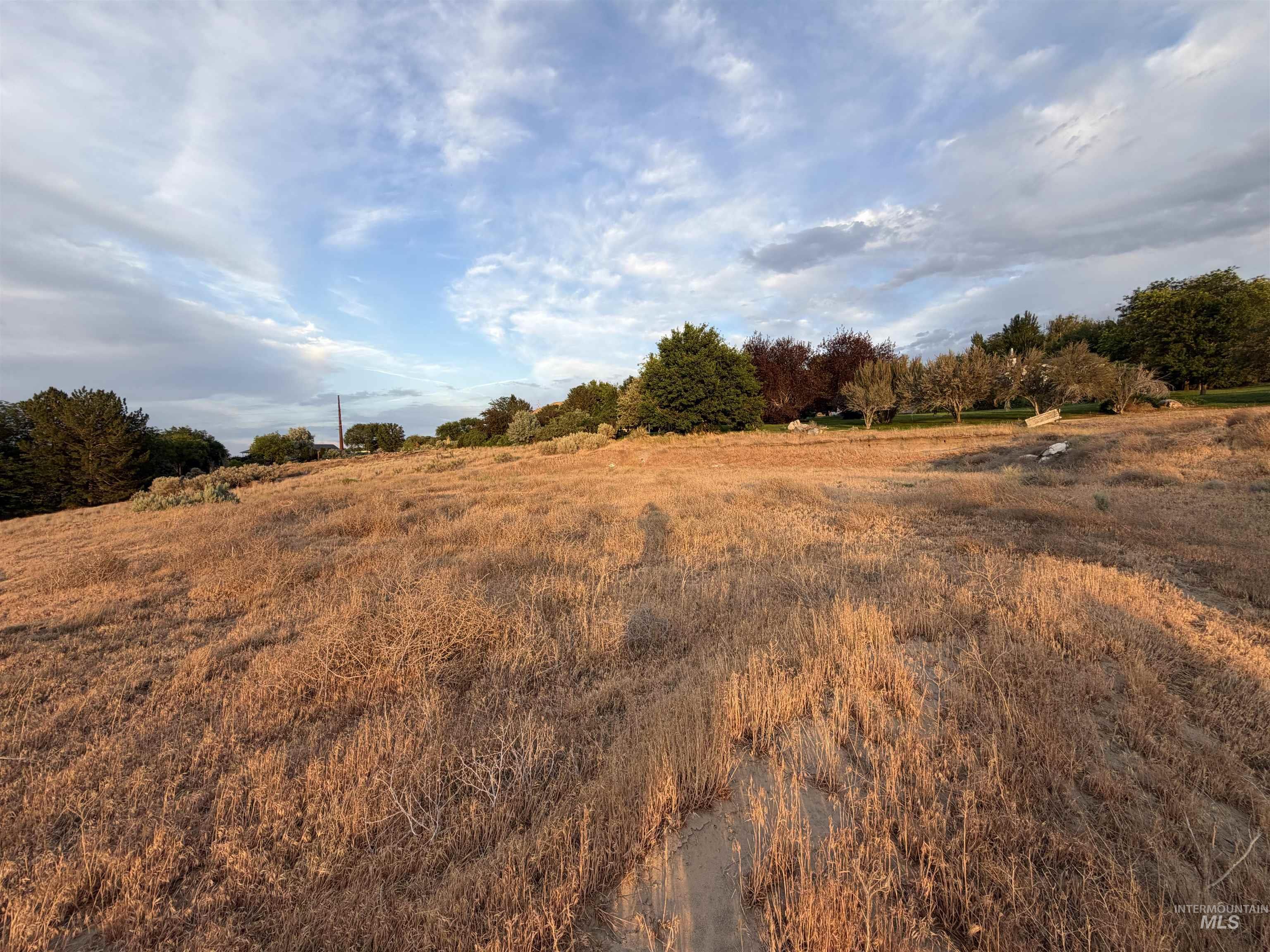 Tbd Chessmore Dr Property Photo 9