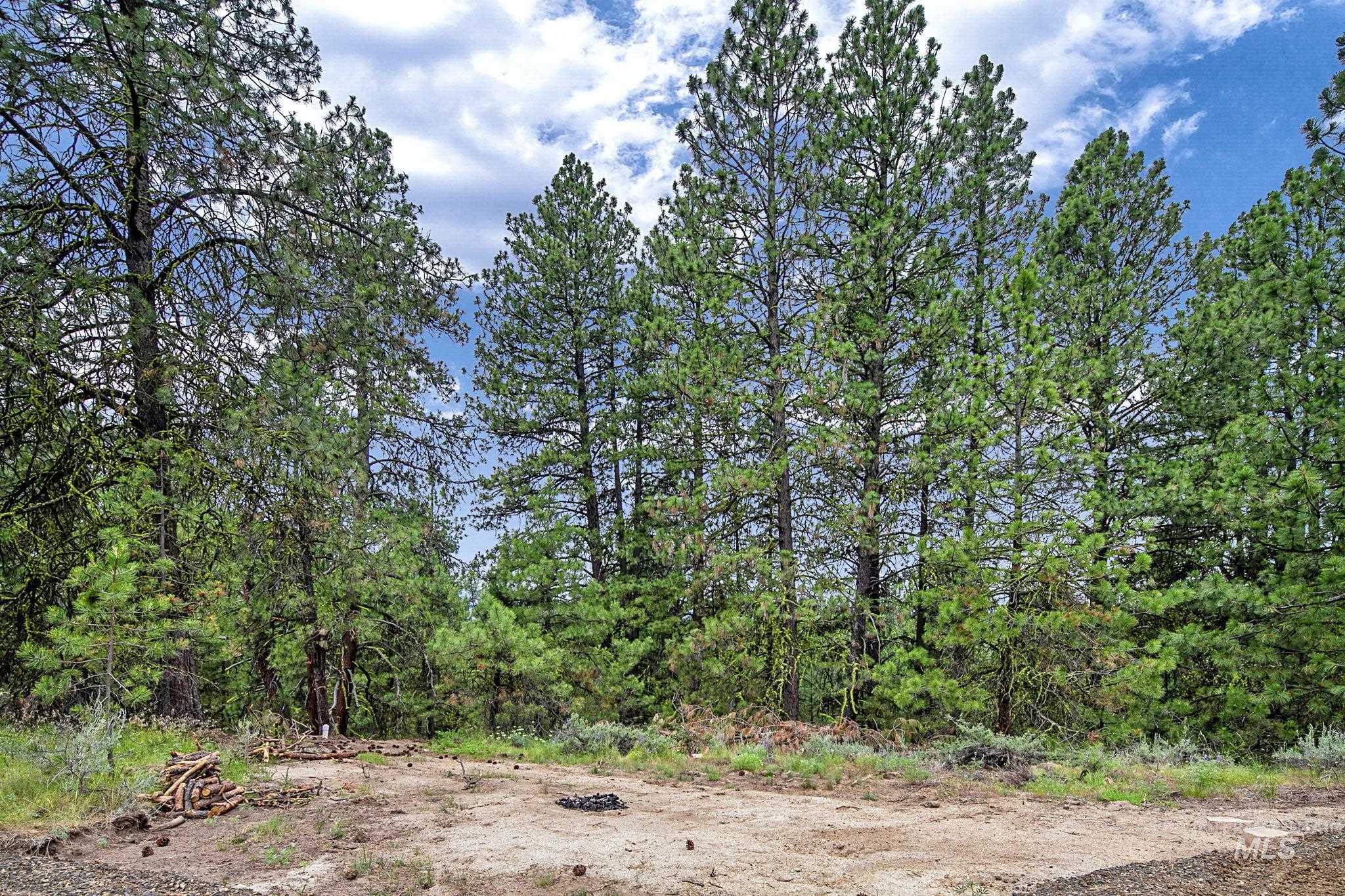 1497 Pine Ridge Dr Property Photo 4
