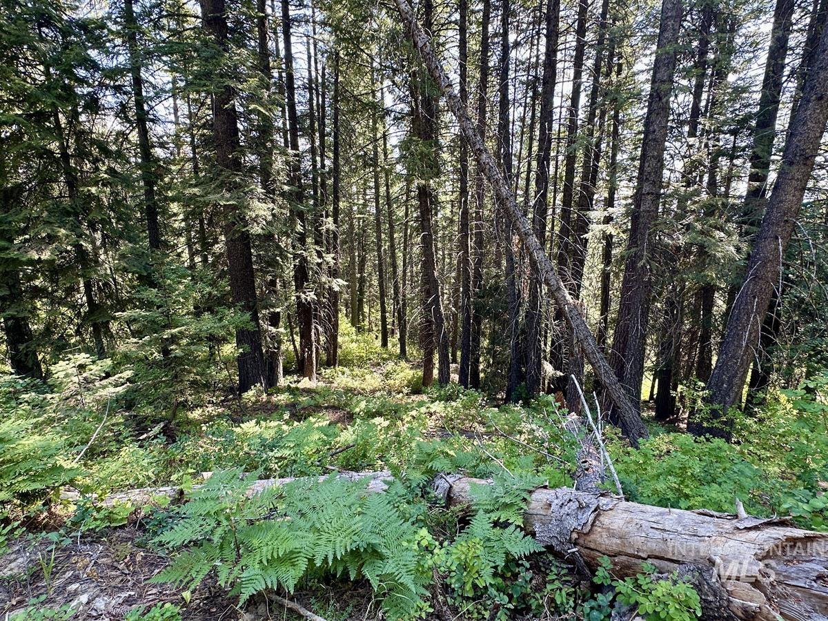 37 Arling Trail