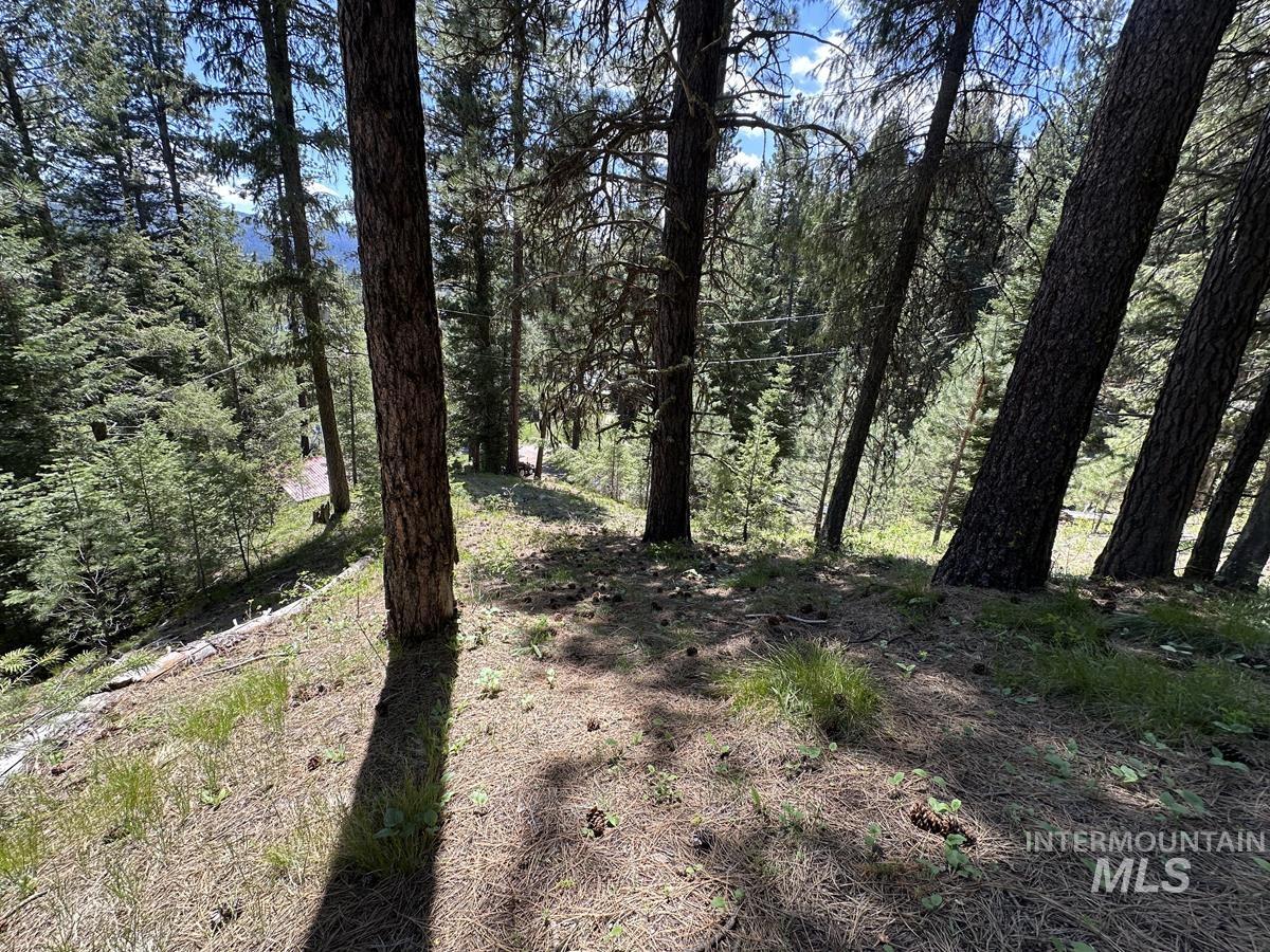9810 Brian Way Property Photo 3