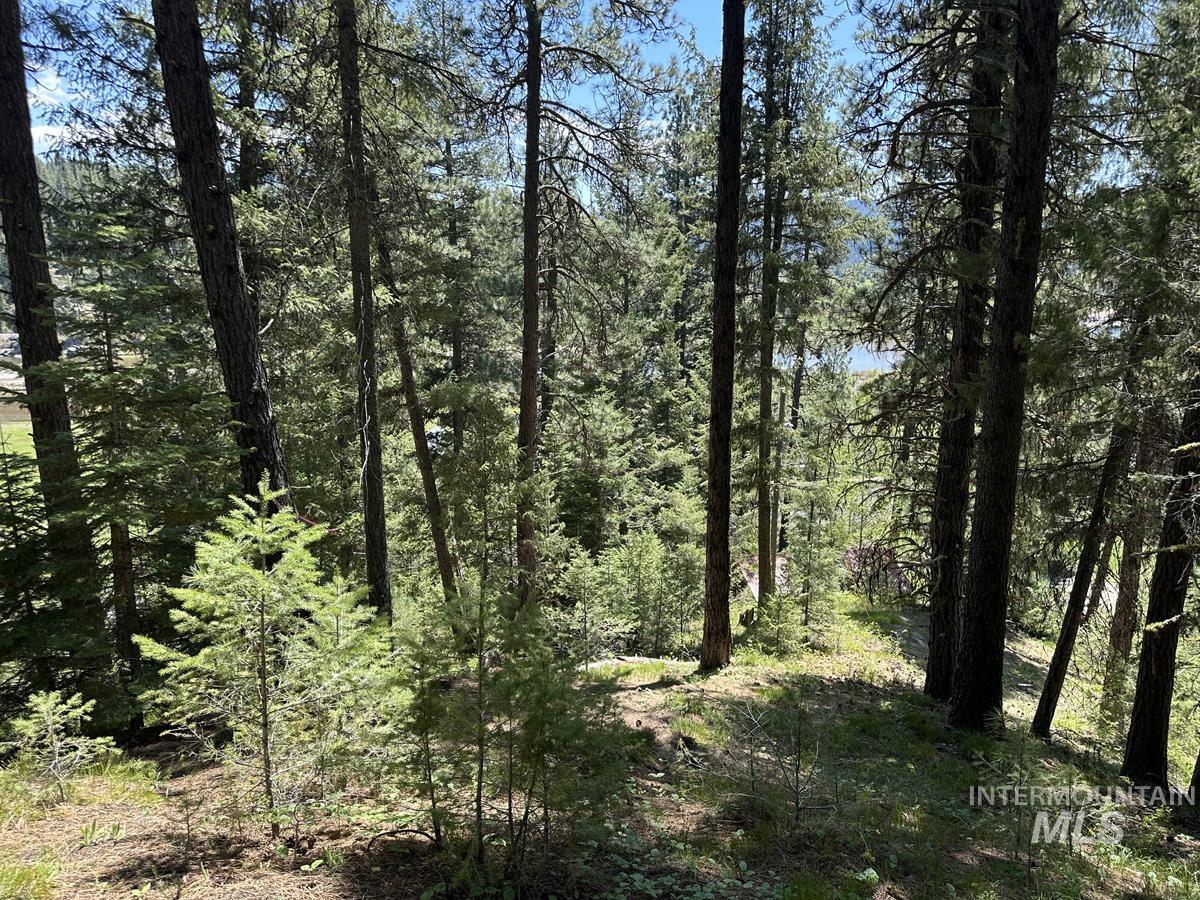 9810 Brian Way Property Photo 4