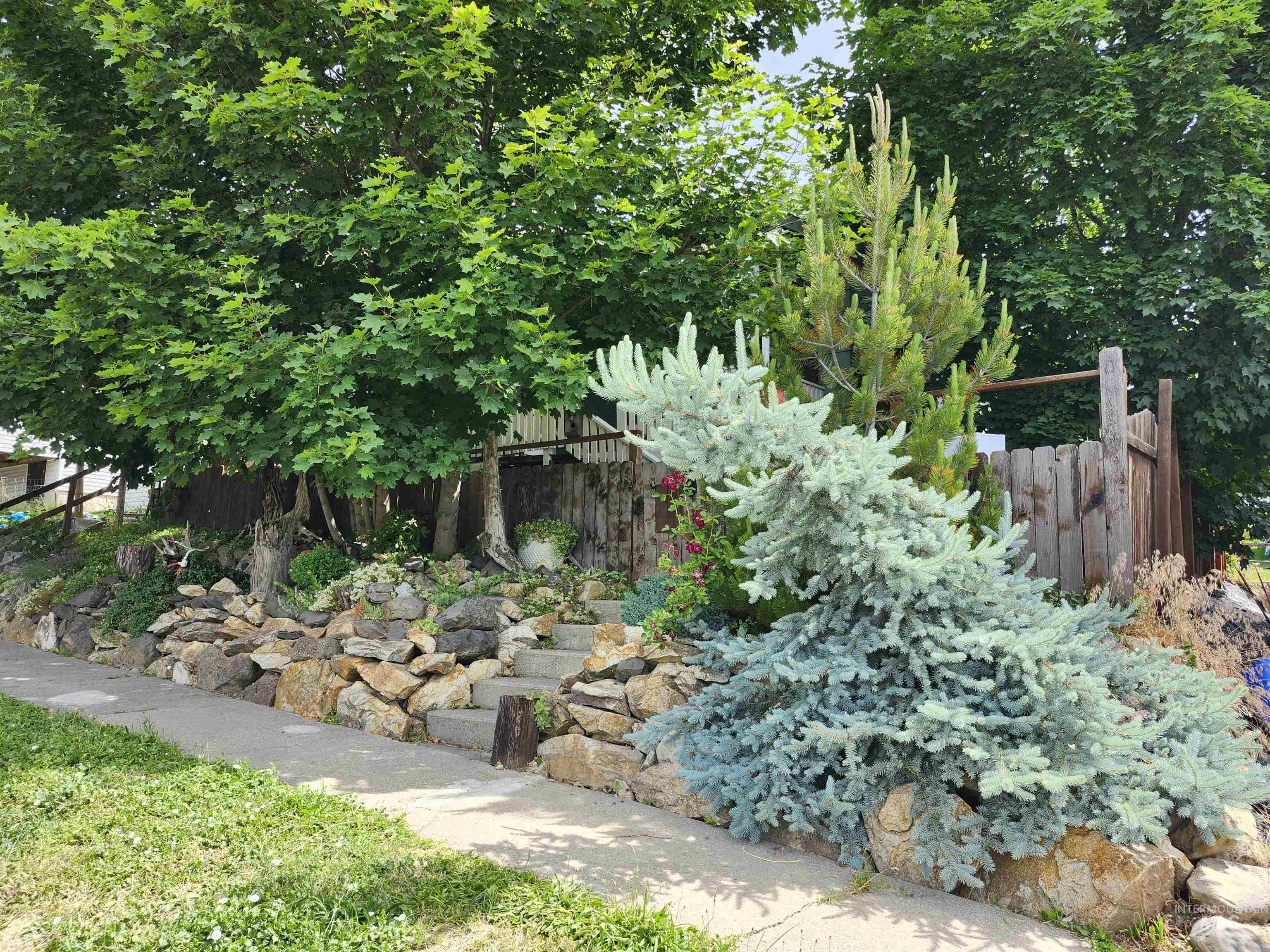 825 Larch Street Property Photo 1