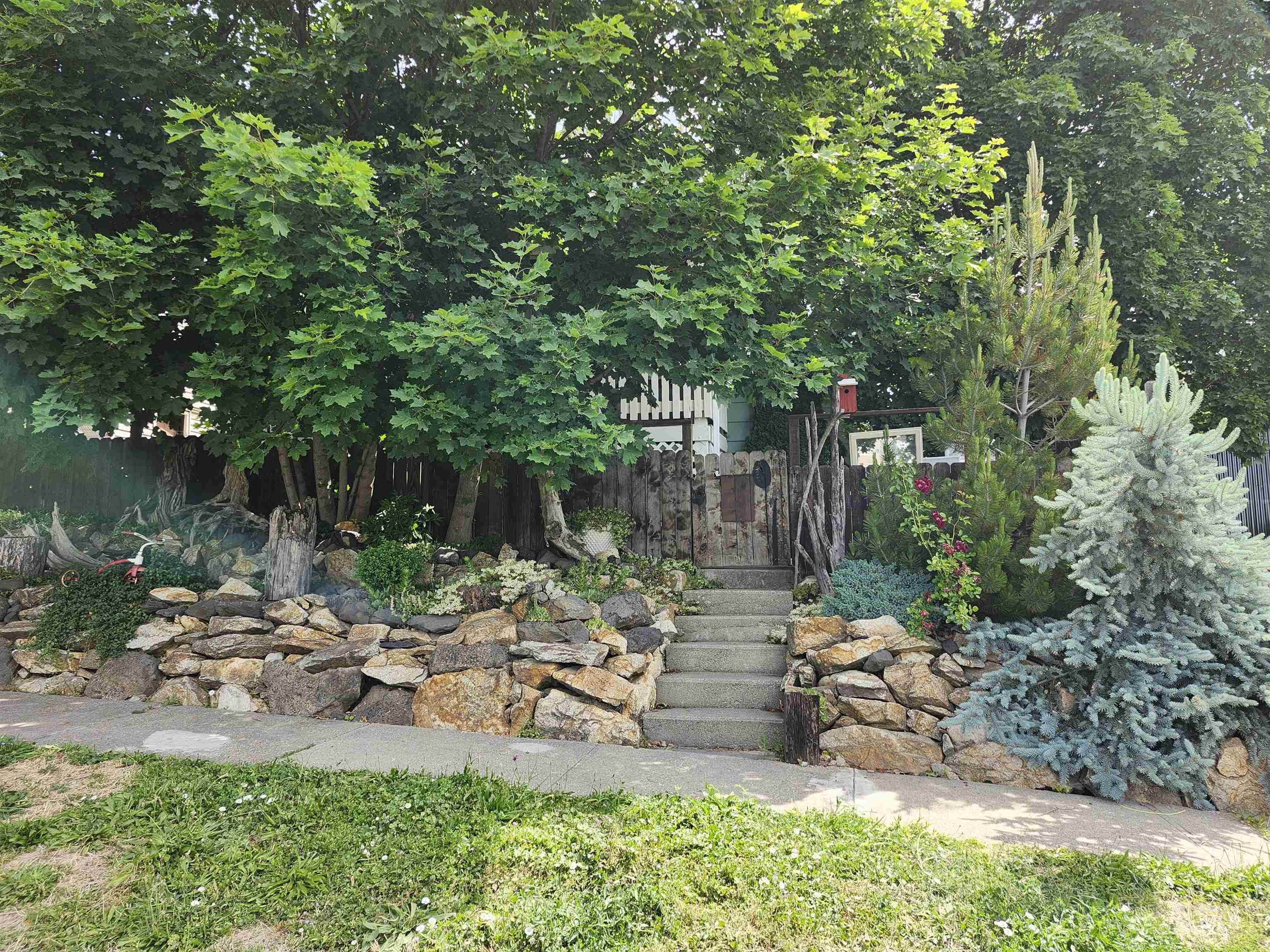 825 Larch Street Property Photo 2
