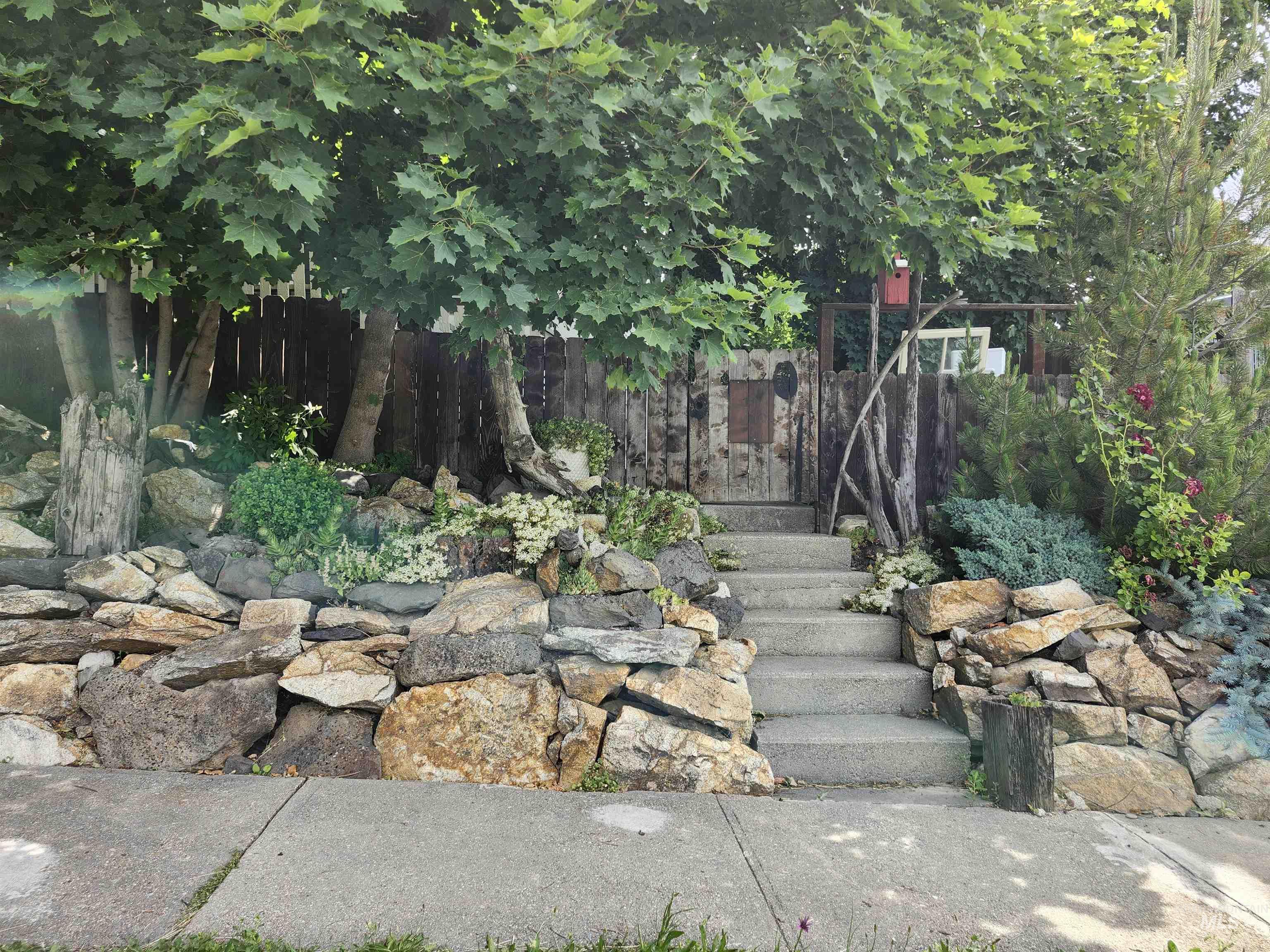 825 Larch Street Property Photo 3