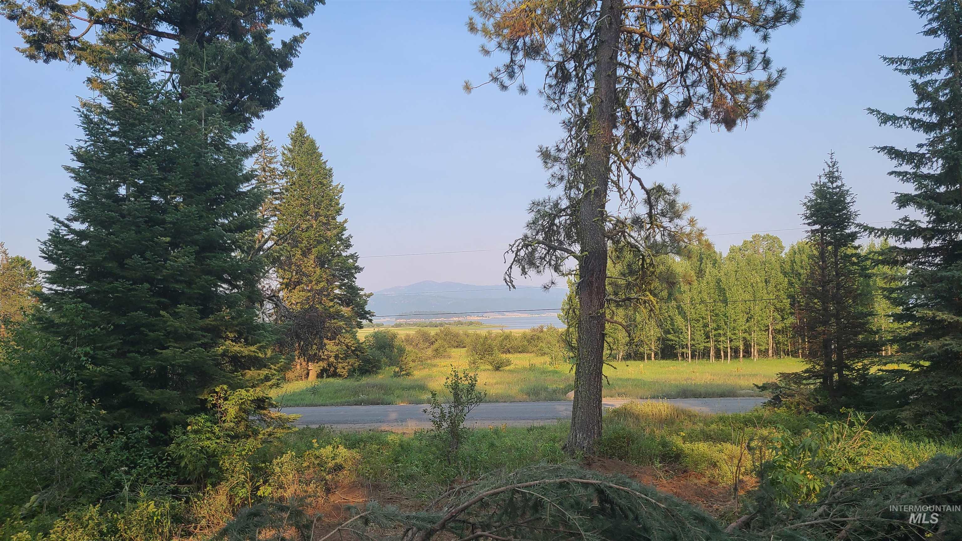 1608 Bear Trail Loop Property Photo 3