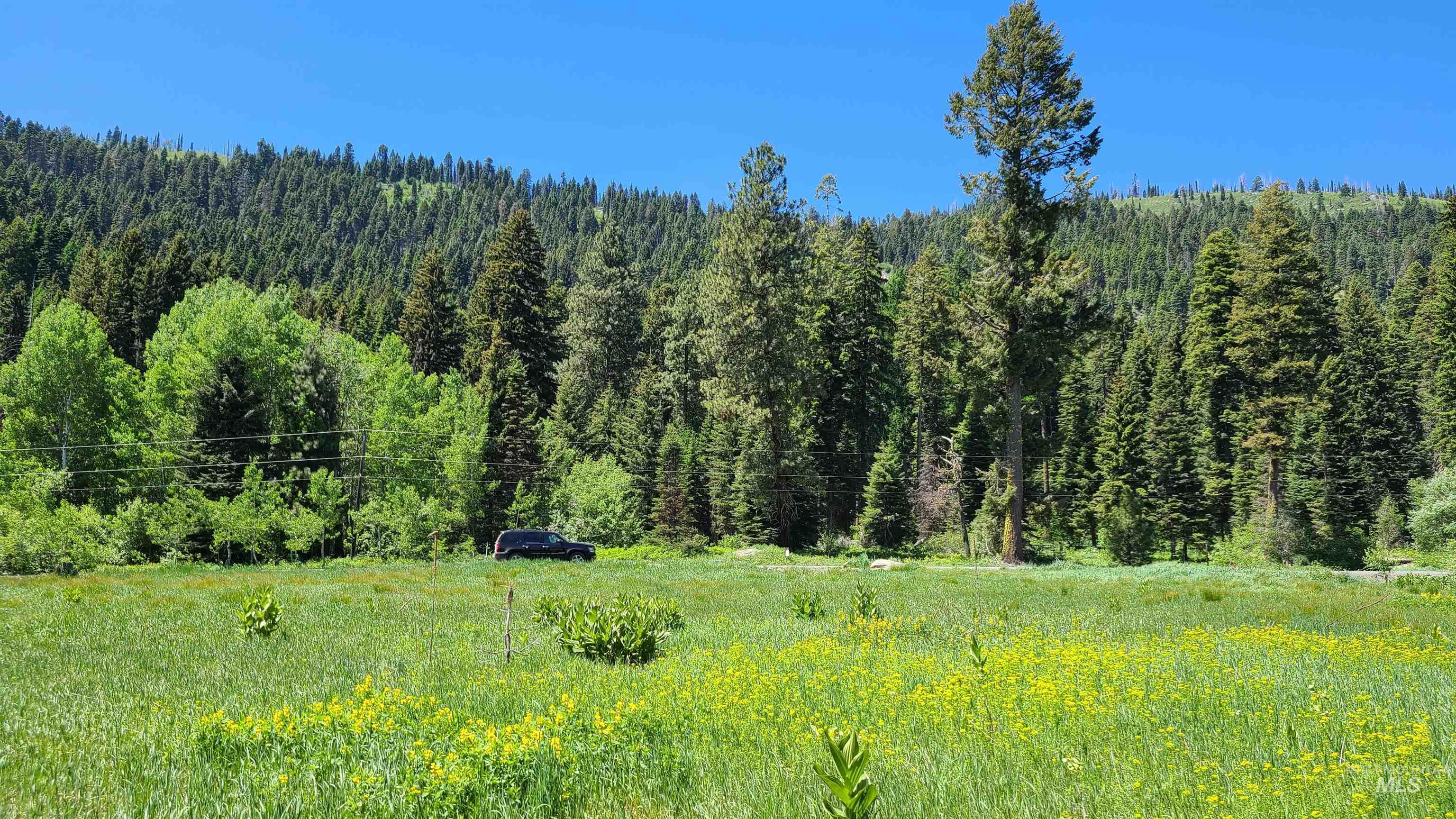 1608 Bear Trail Loop Property Photo 4