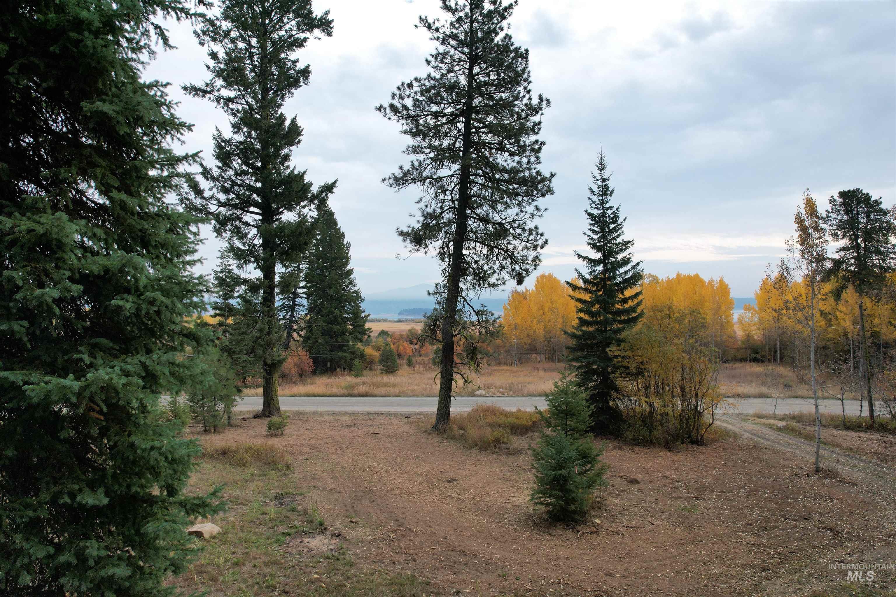 1608 Bear Trail Loop Property Photo 6