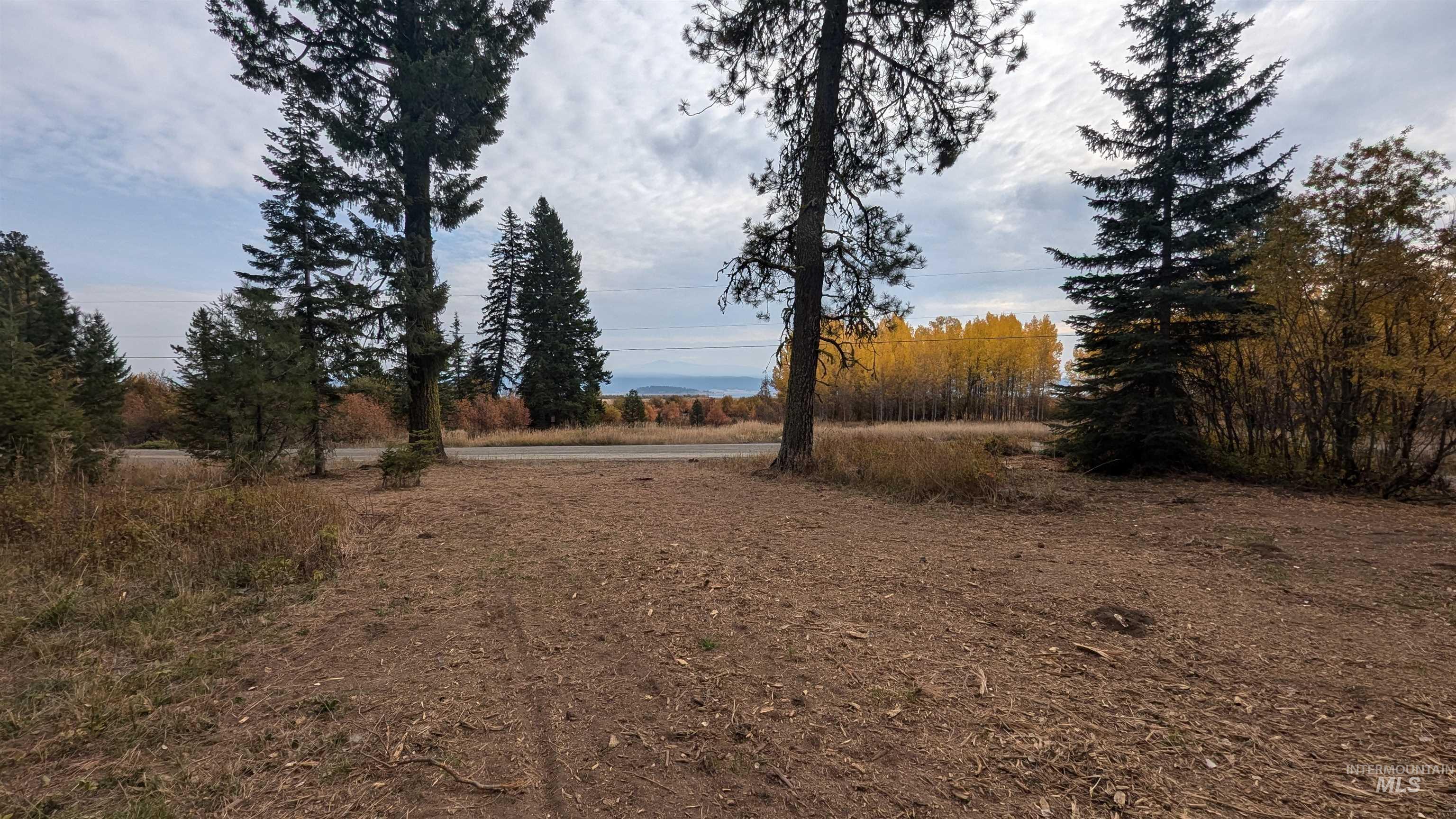 1608 Bear Trail Loop Property Photo 9