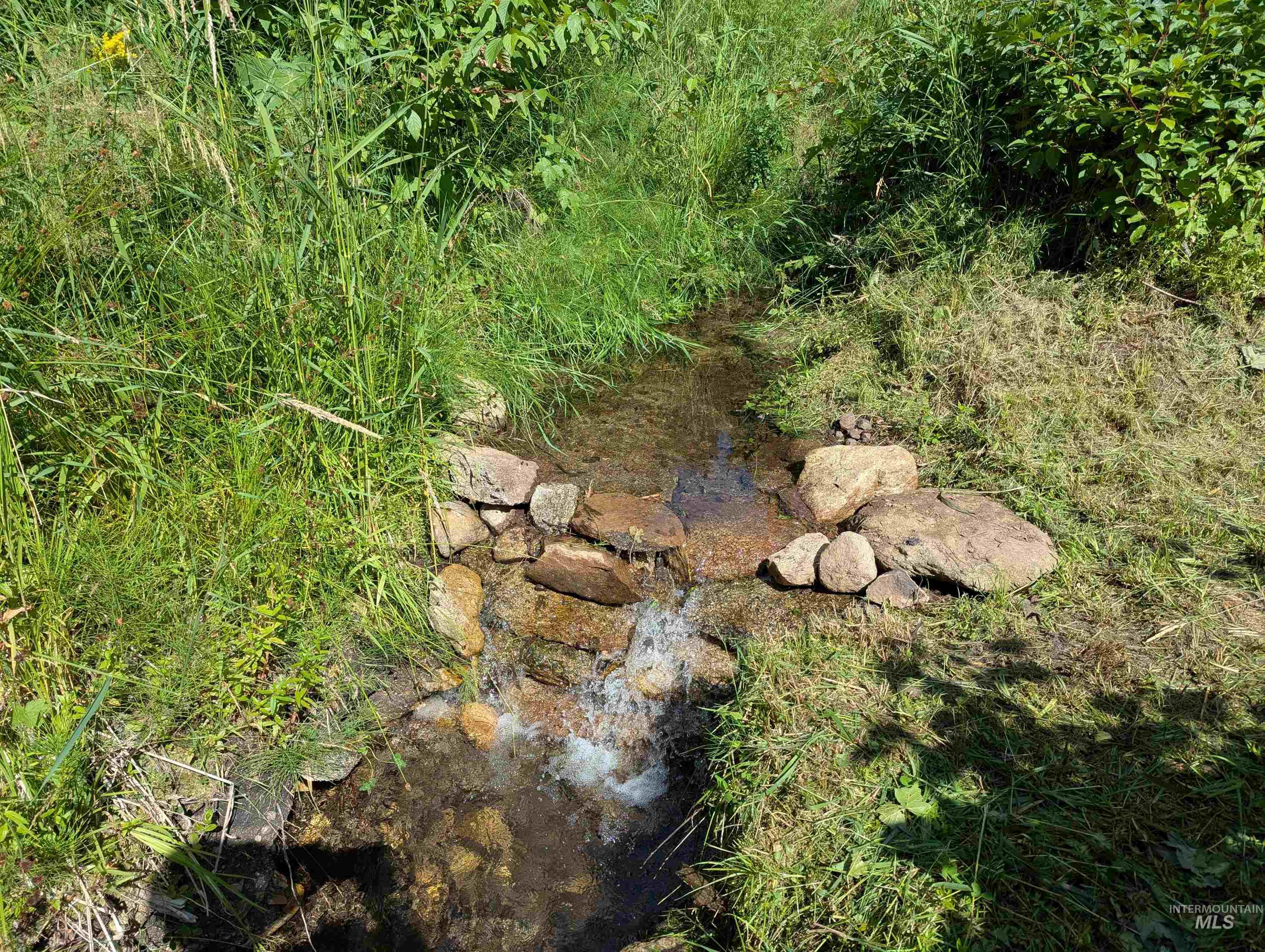 1608 Bear Trail Loop Property Photo 12