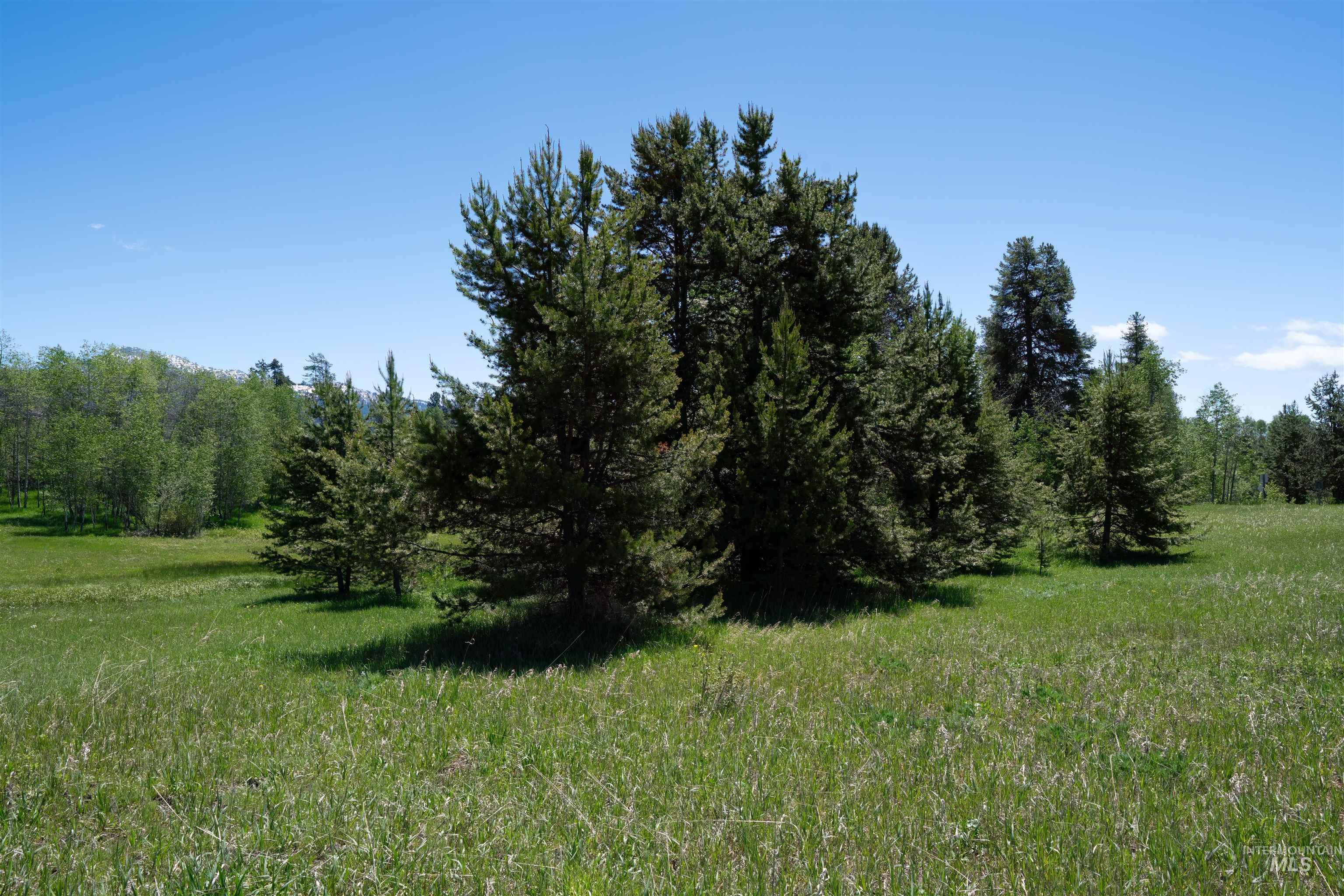 14128 Jefferson Road Property Photo 11