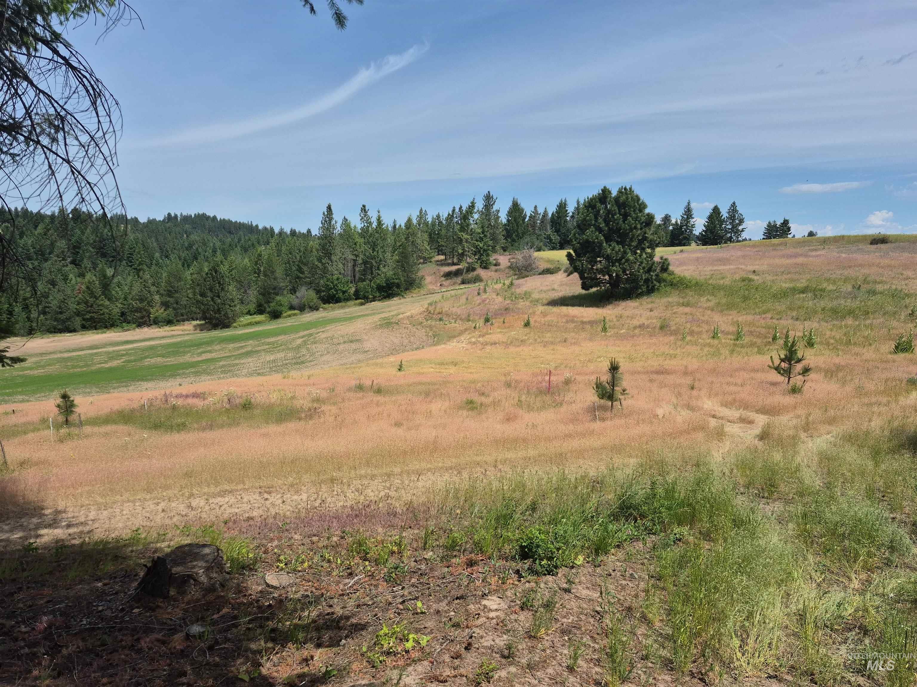 1044 Clemenhagen Rd Property Photo 35