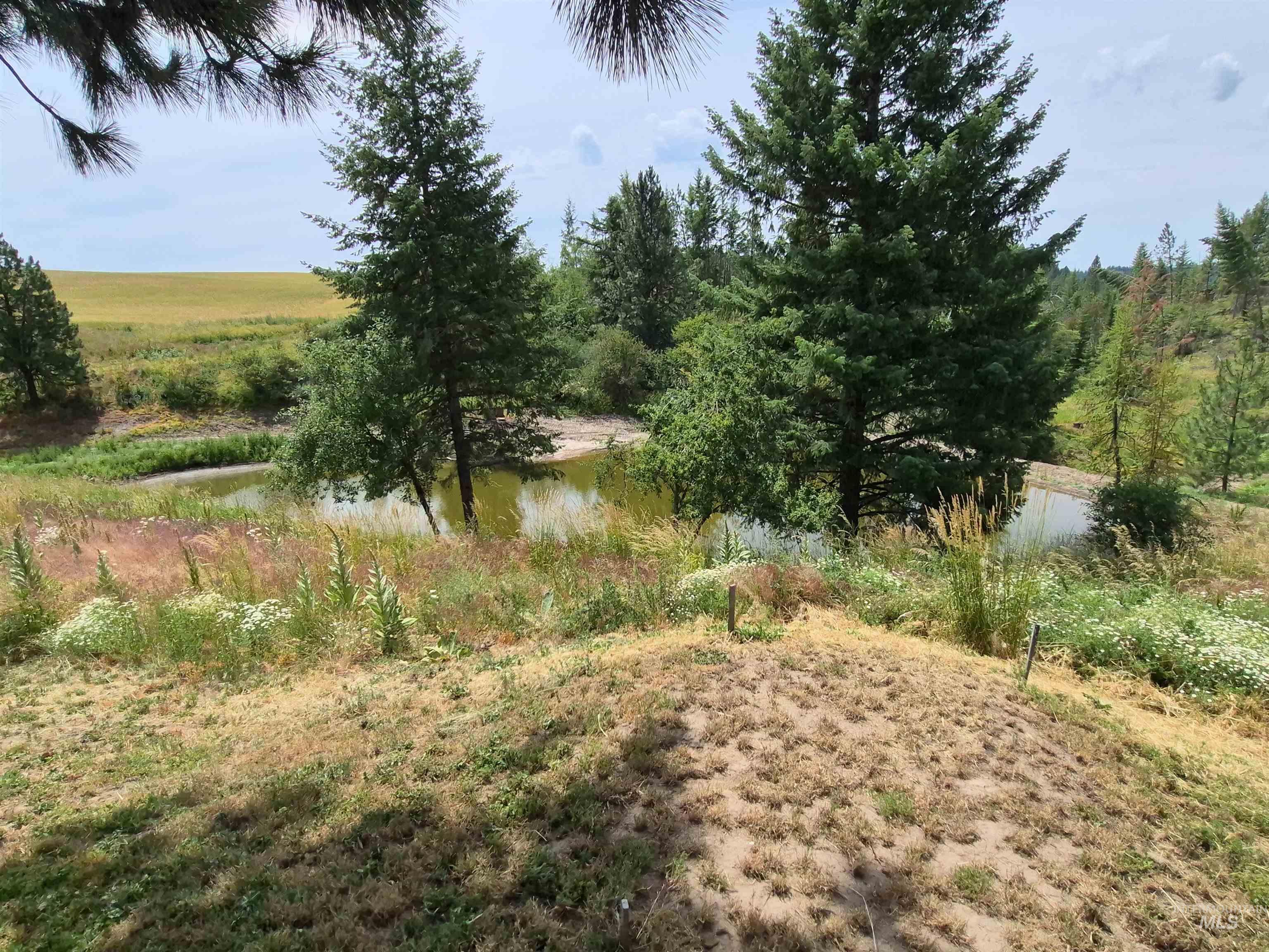 1044 Clemenhagen Rd Property Photo 39