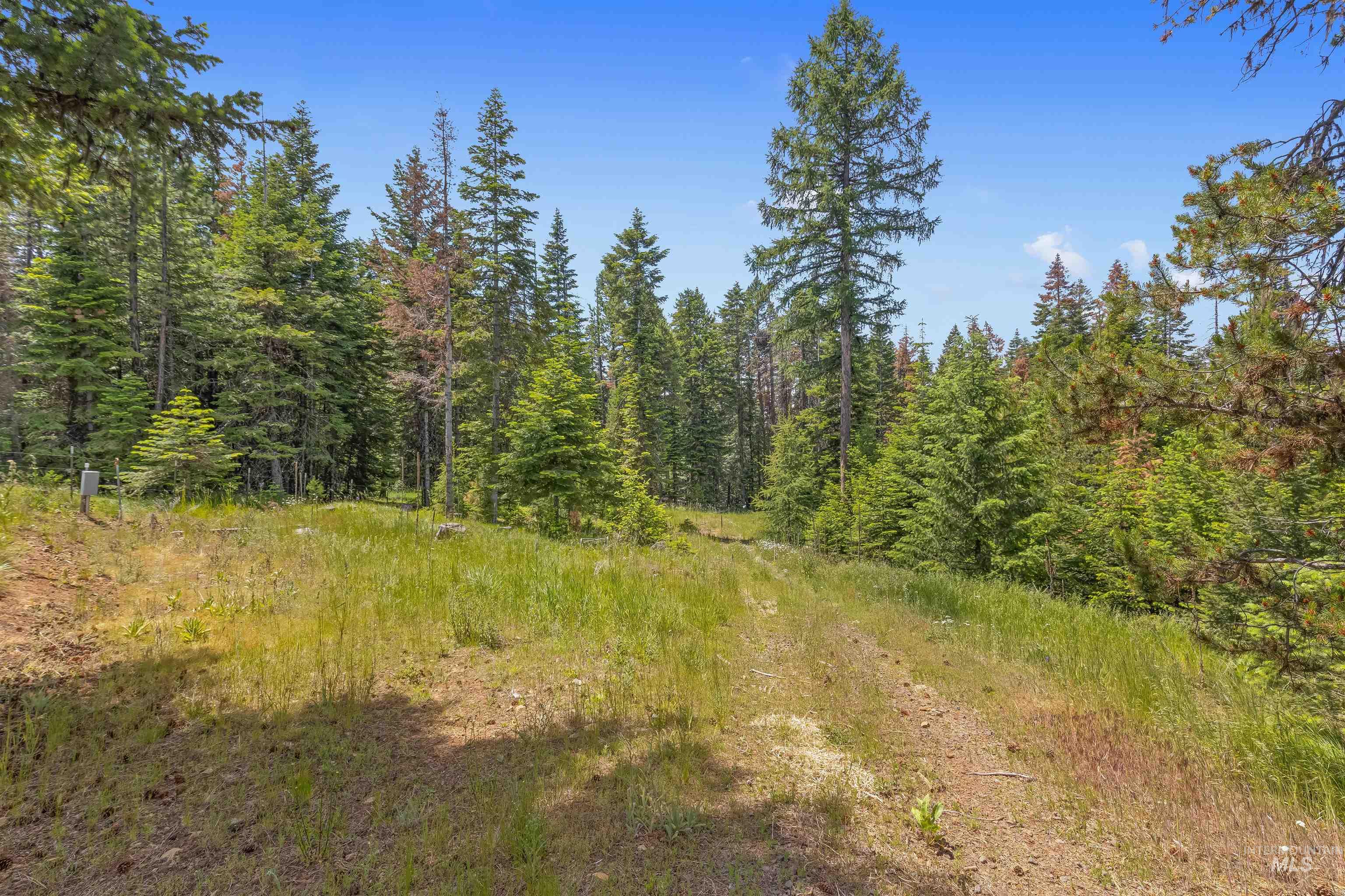 43874 Yellow Pine Avenue Property Photo 29