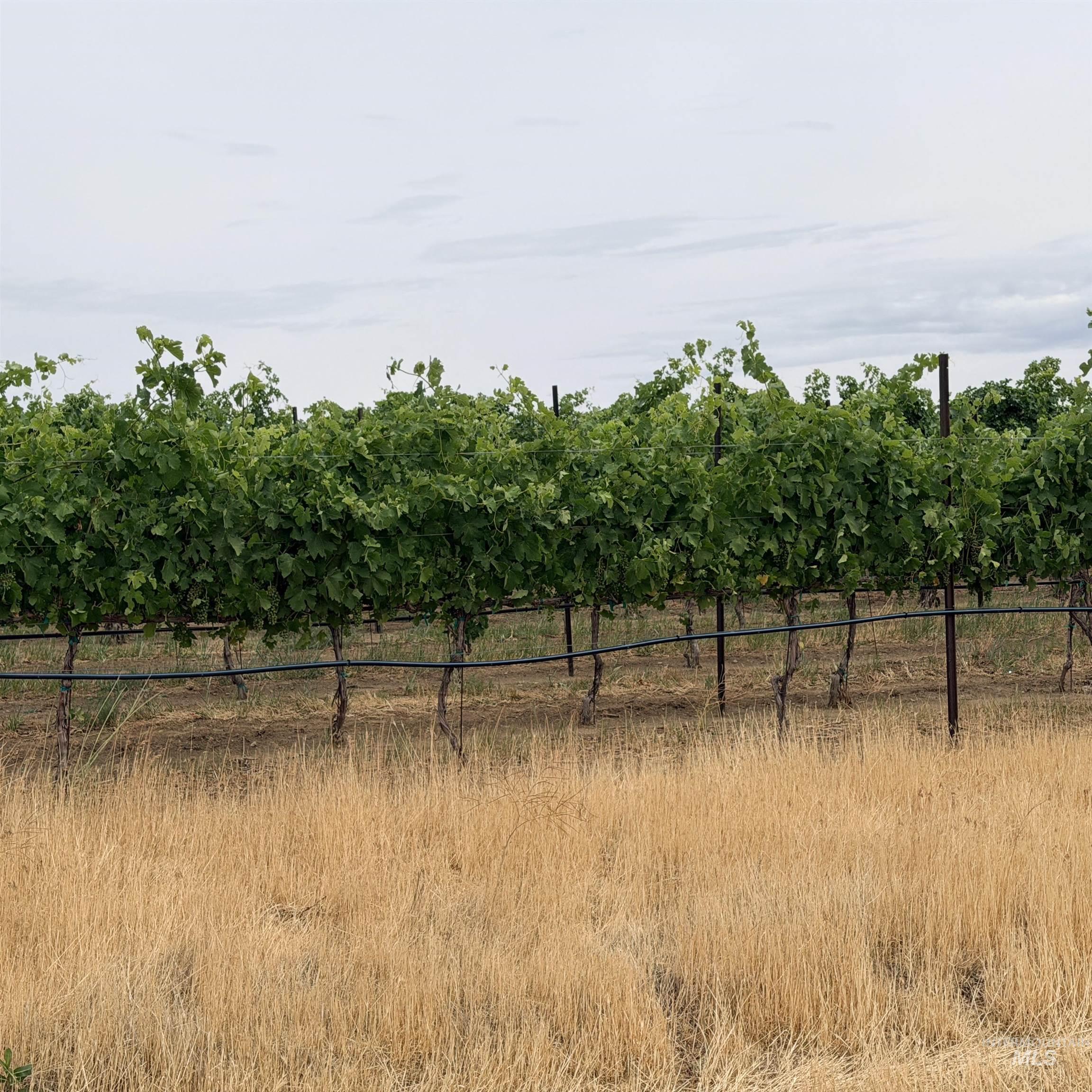 Tbd Homedale Rd Property Photo 6