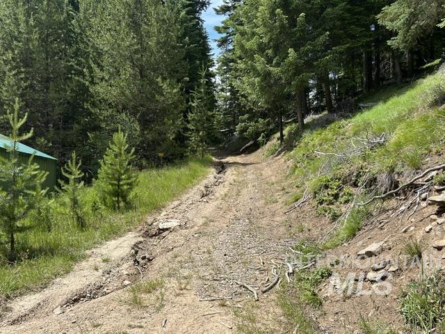 Tbd American River Rd Property Photo 3