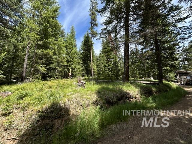 Tbd American River Rd Property Photo 13