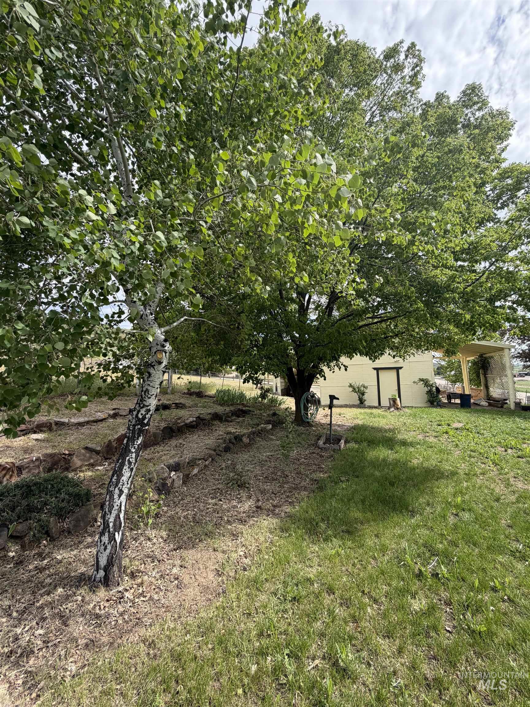 12184 Hill Rd. Property Photo 24