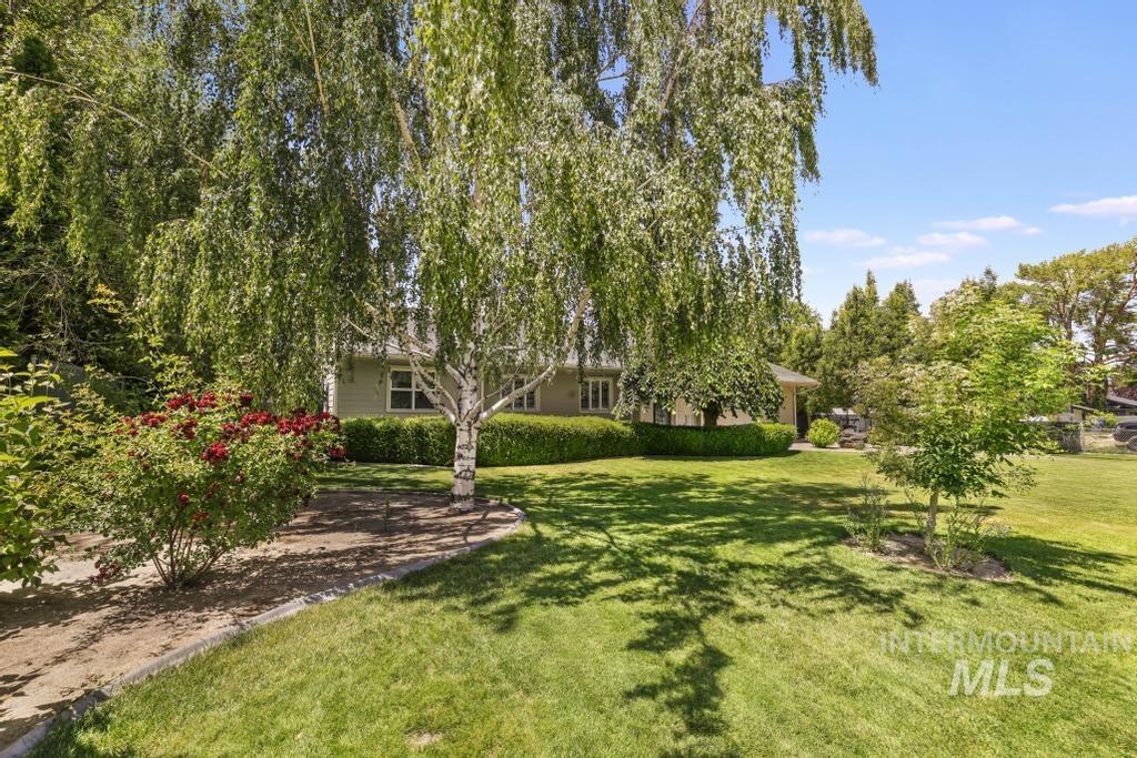 429 Buchanan St. Property Photo 3