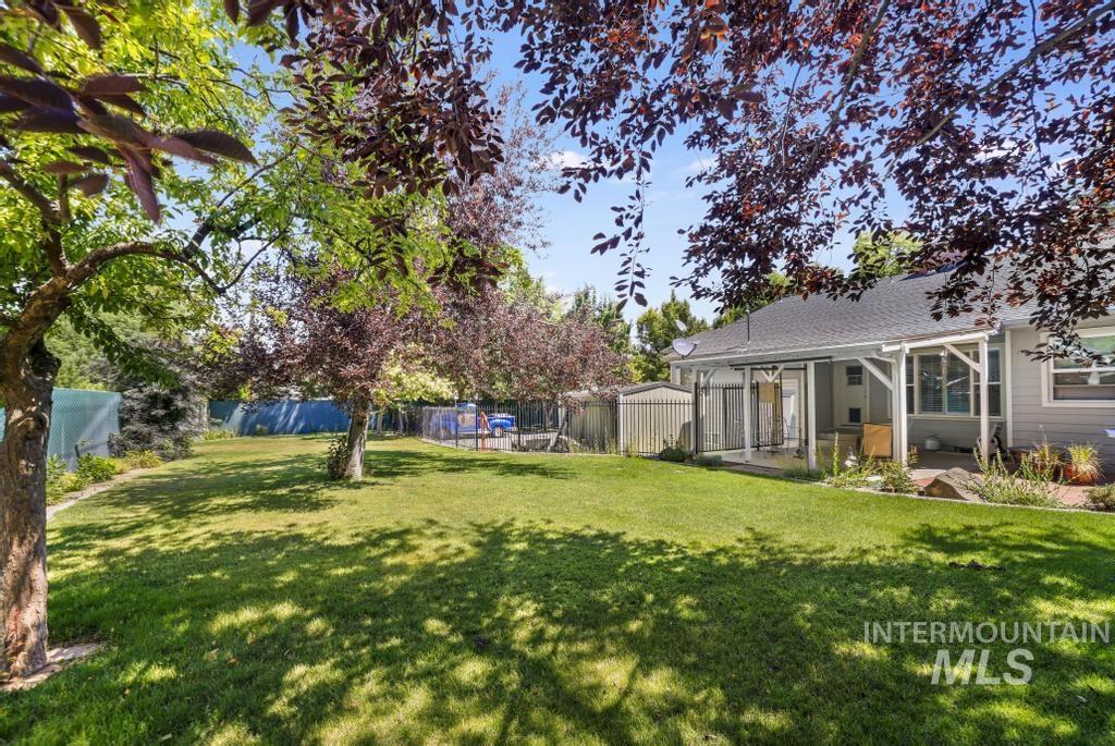 429 Buchanan St. Property Photo 19