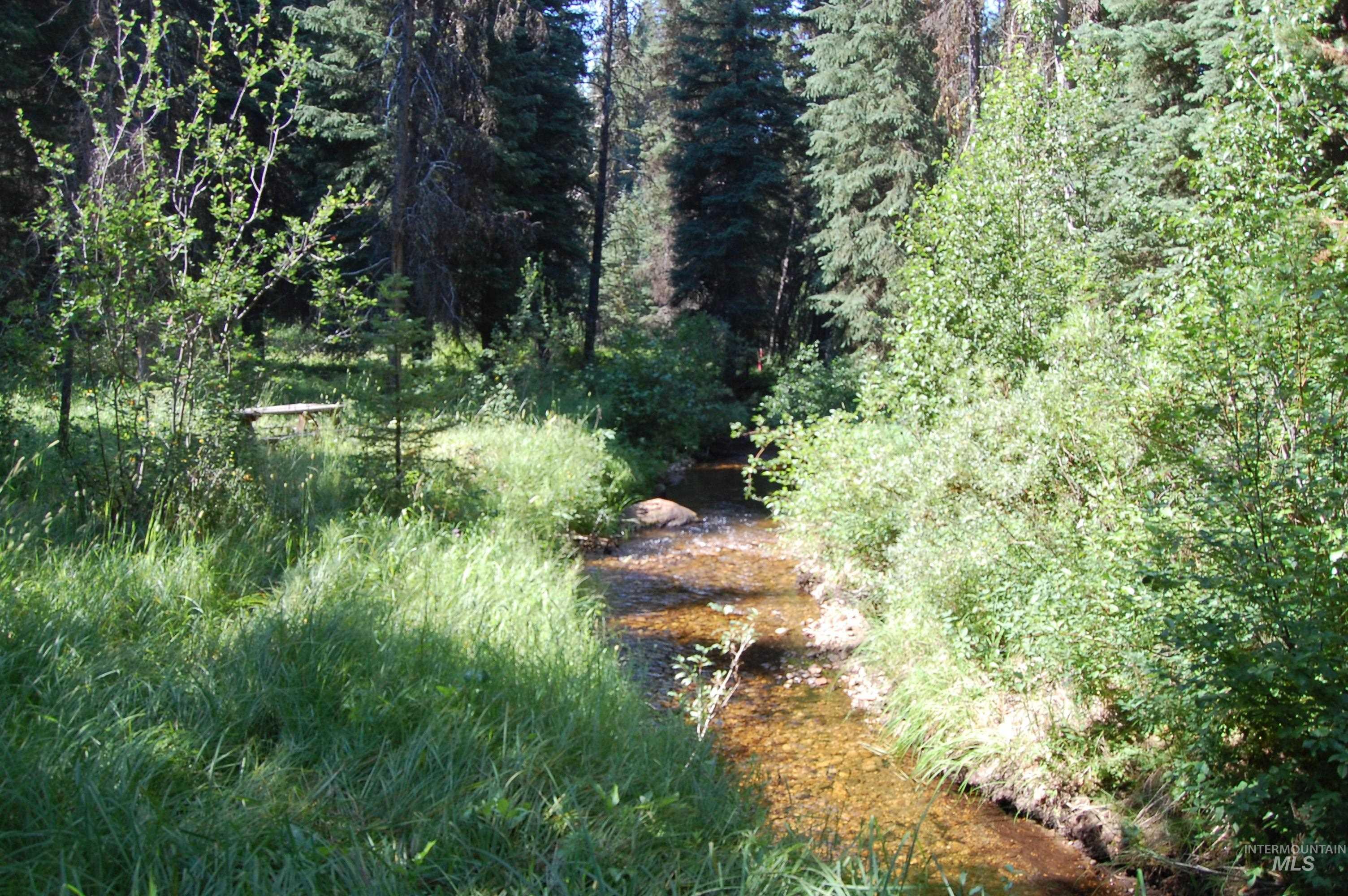 Tbd Morell Road Property Photo 1