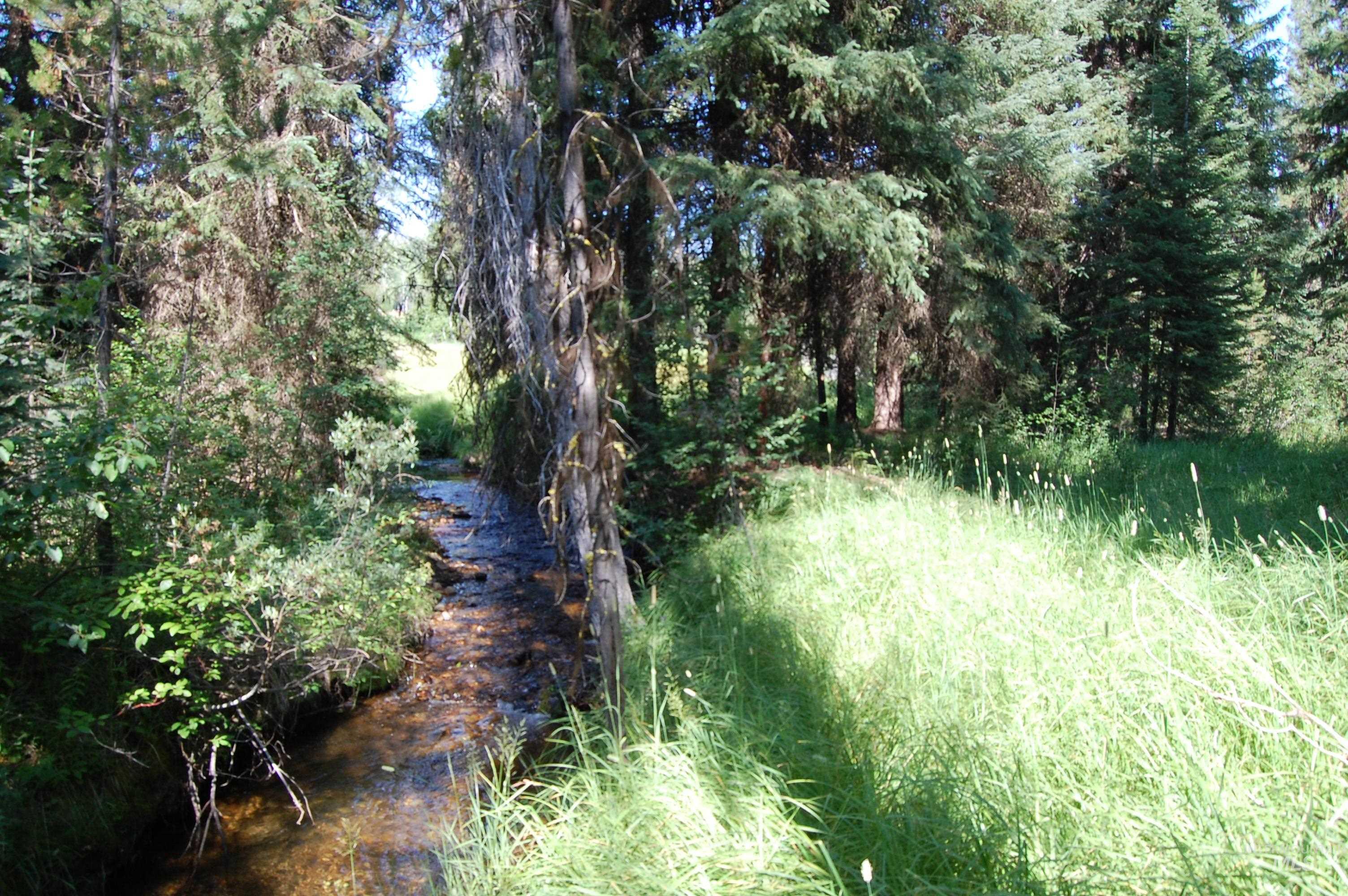 Tbd Morell Road Property Photo 2