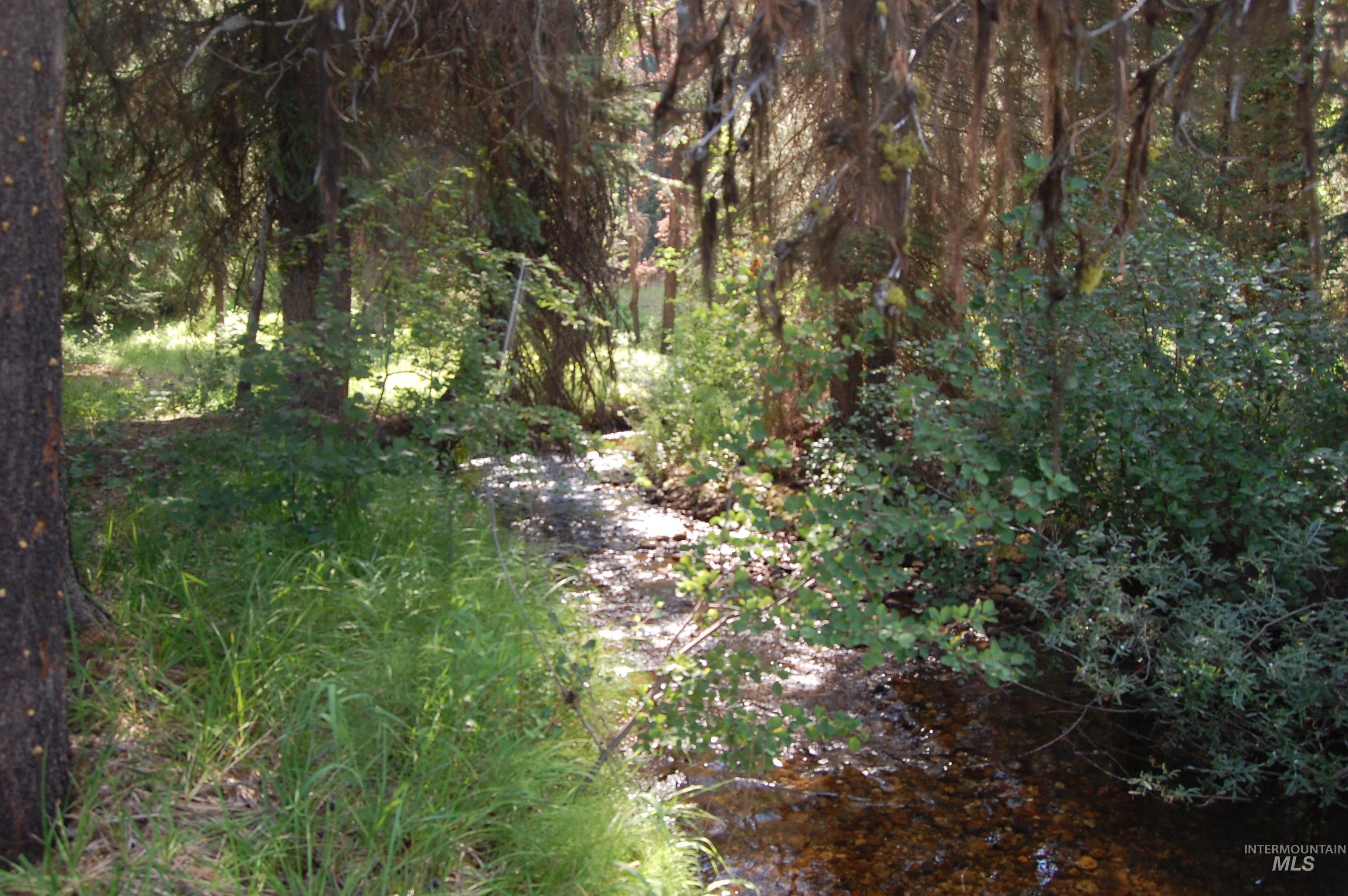 Tbd Morell Road Property Photo 3