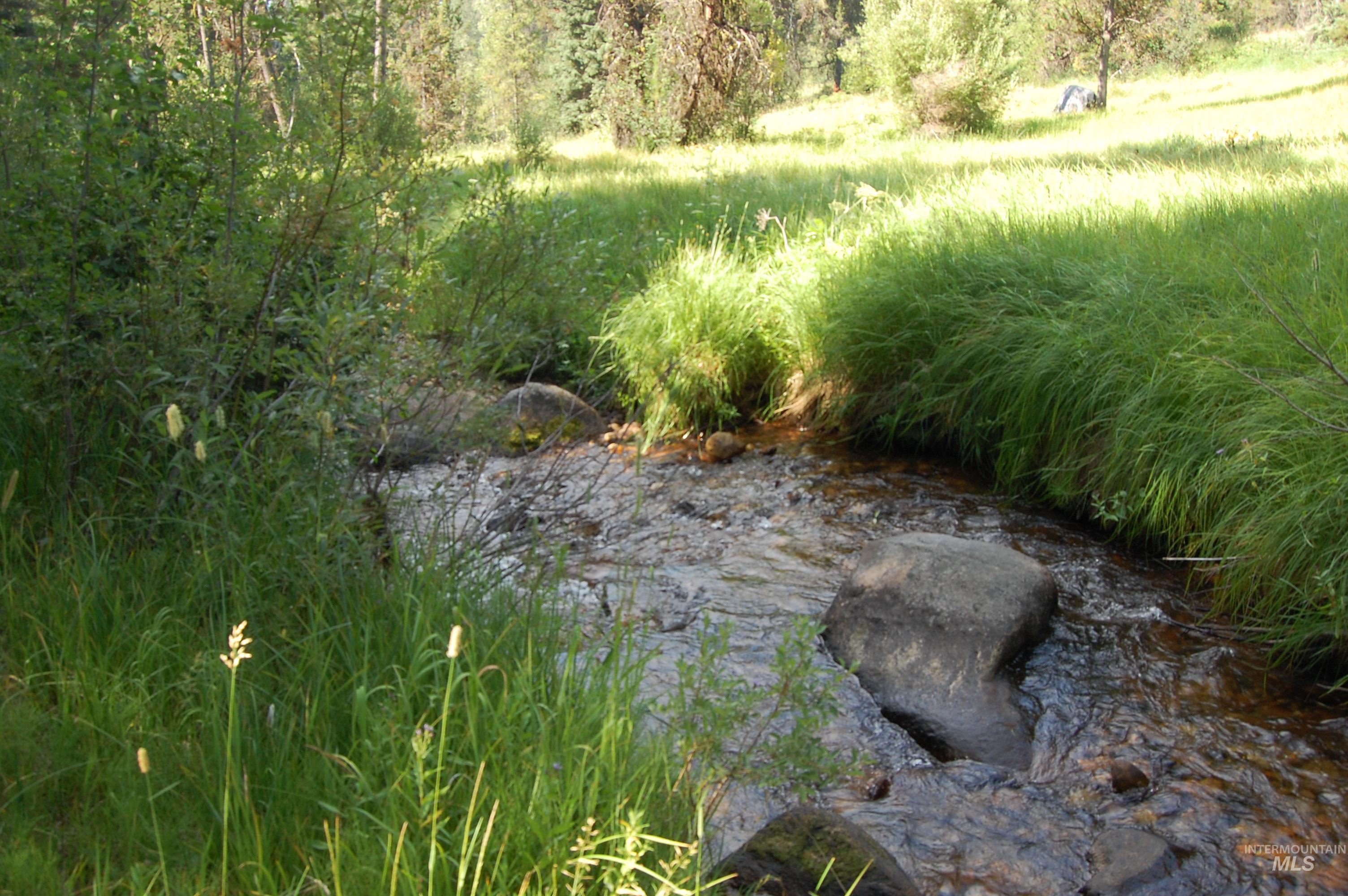 Tbd Morell Road Property Photo 4