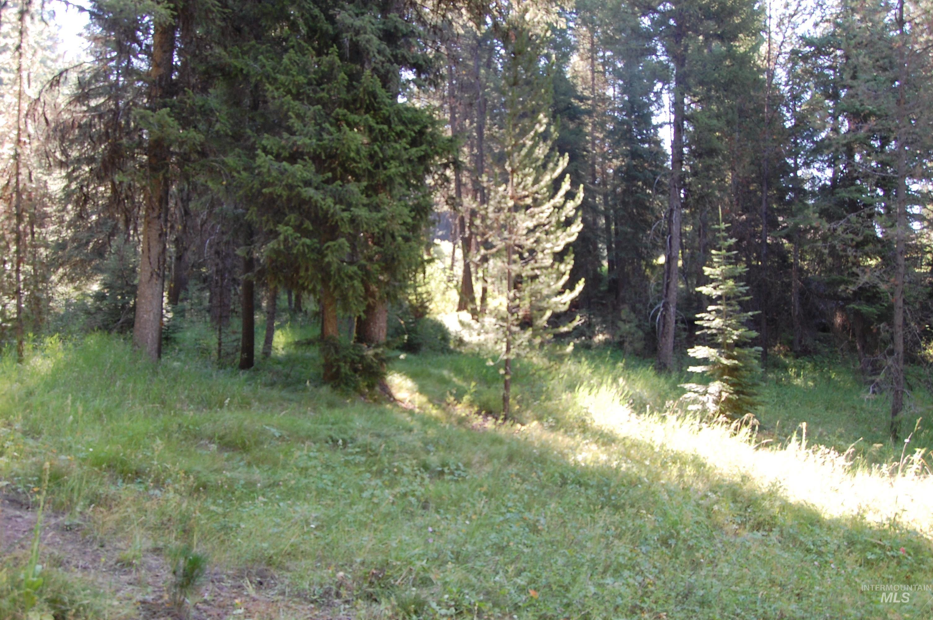 Tbd Morell Road Property Photo 6
