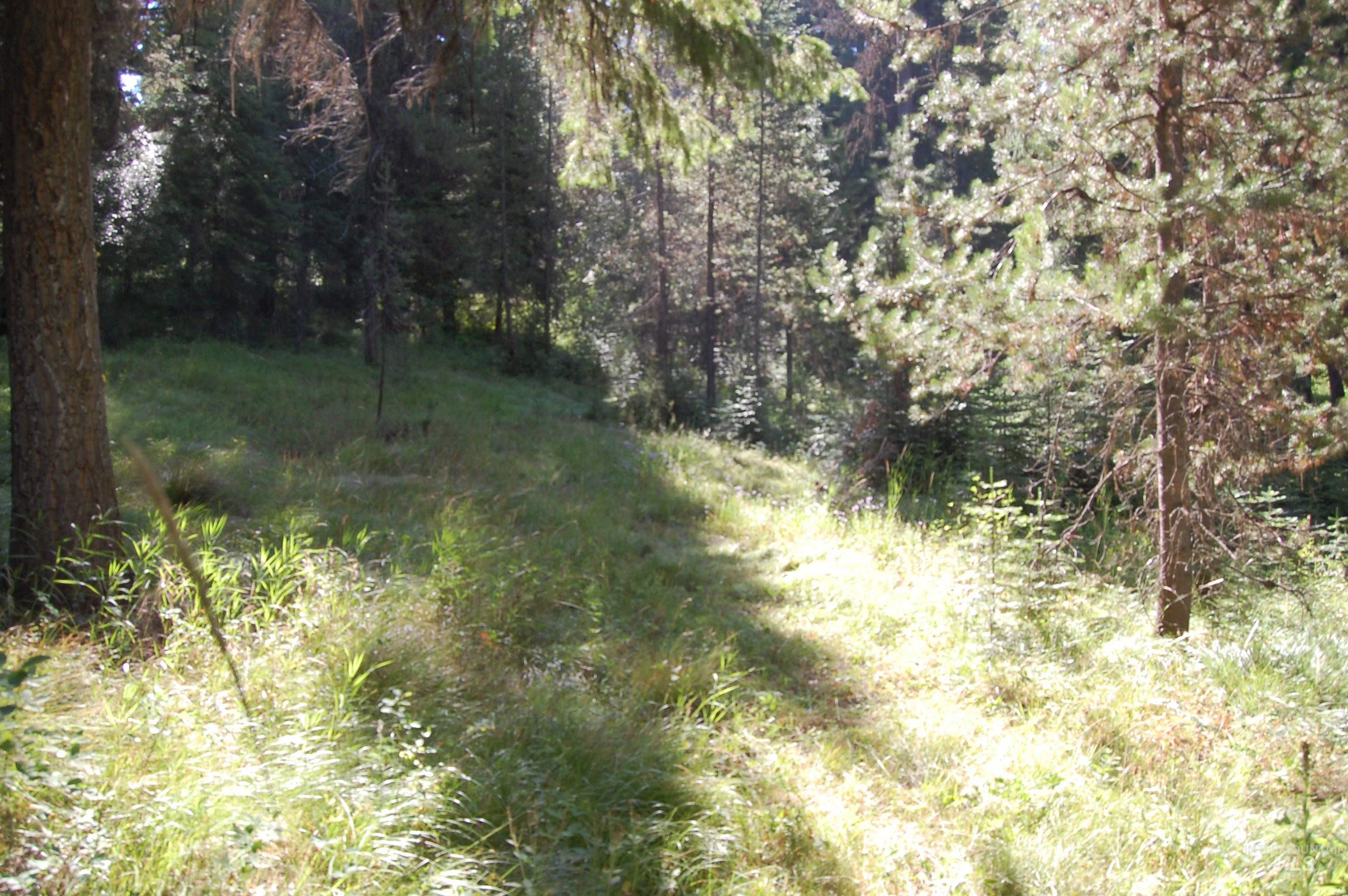 Tbd Morell Road Property Photo 7