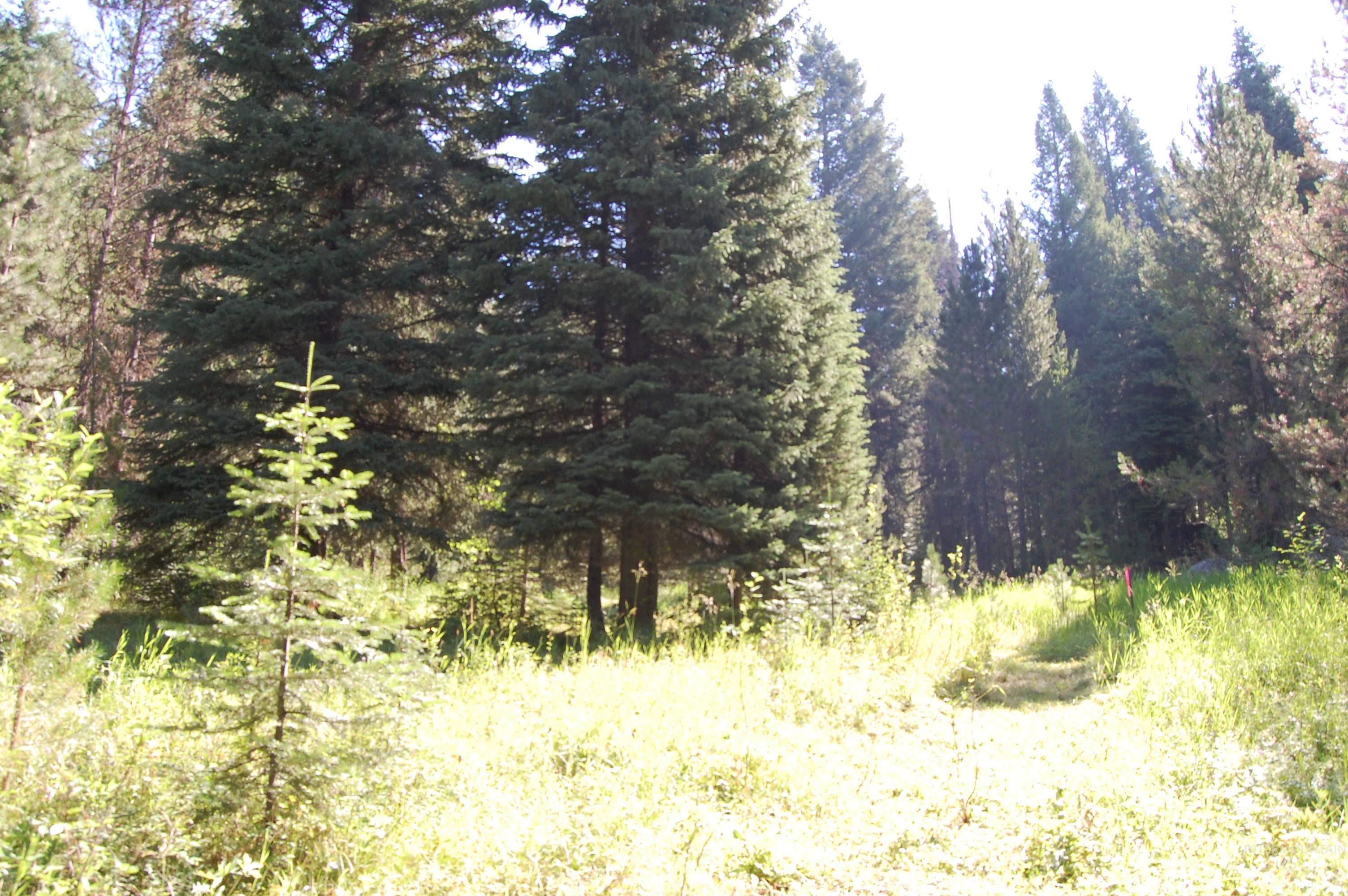 Tbd Morell Road Property Photo 8