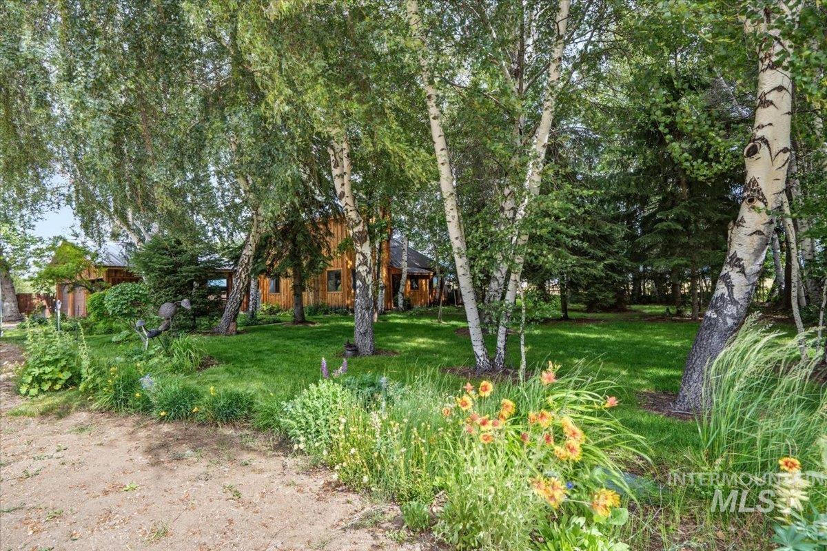 227 Manard Ave Property Photo 3