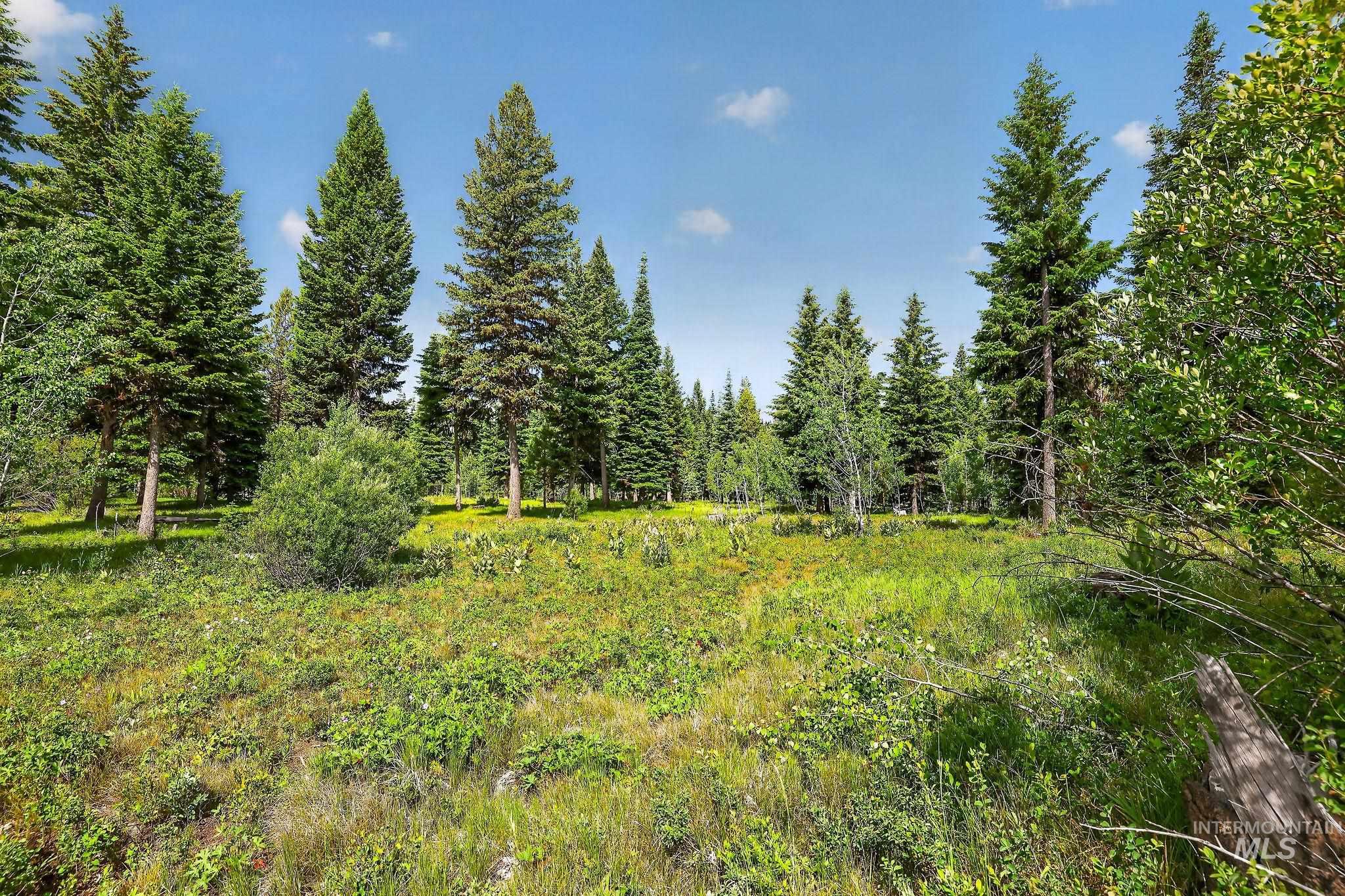 Tbd Sundance Dr Property Photo 8