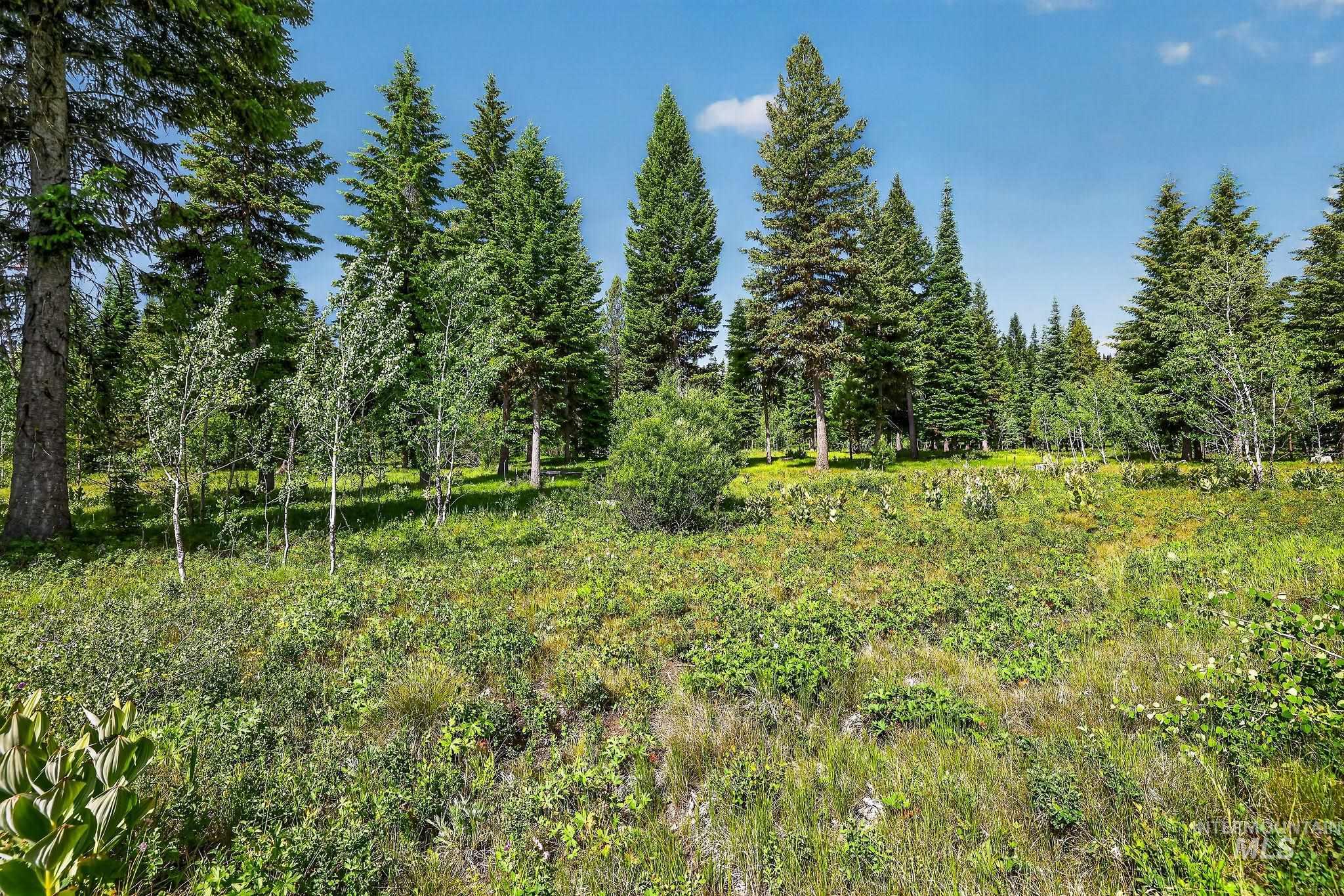 Tbd Sundance Dr Property Photo 9