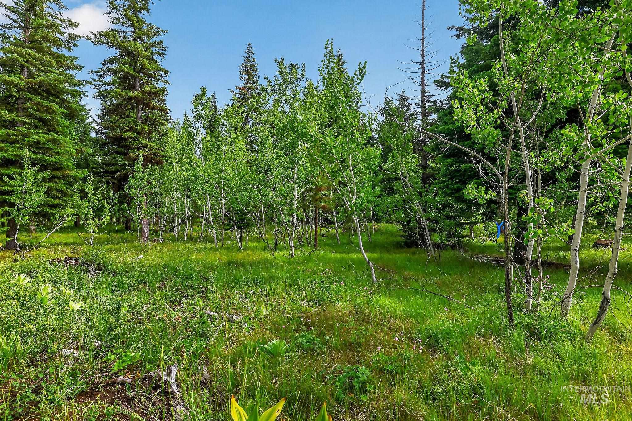 Tbd Sundance Dr Property Photo 11