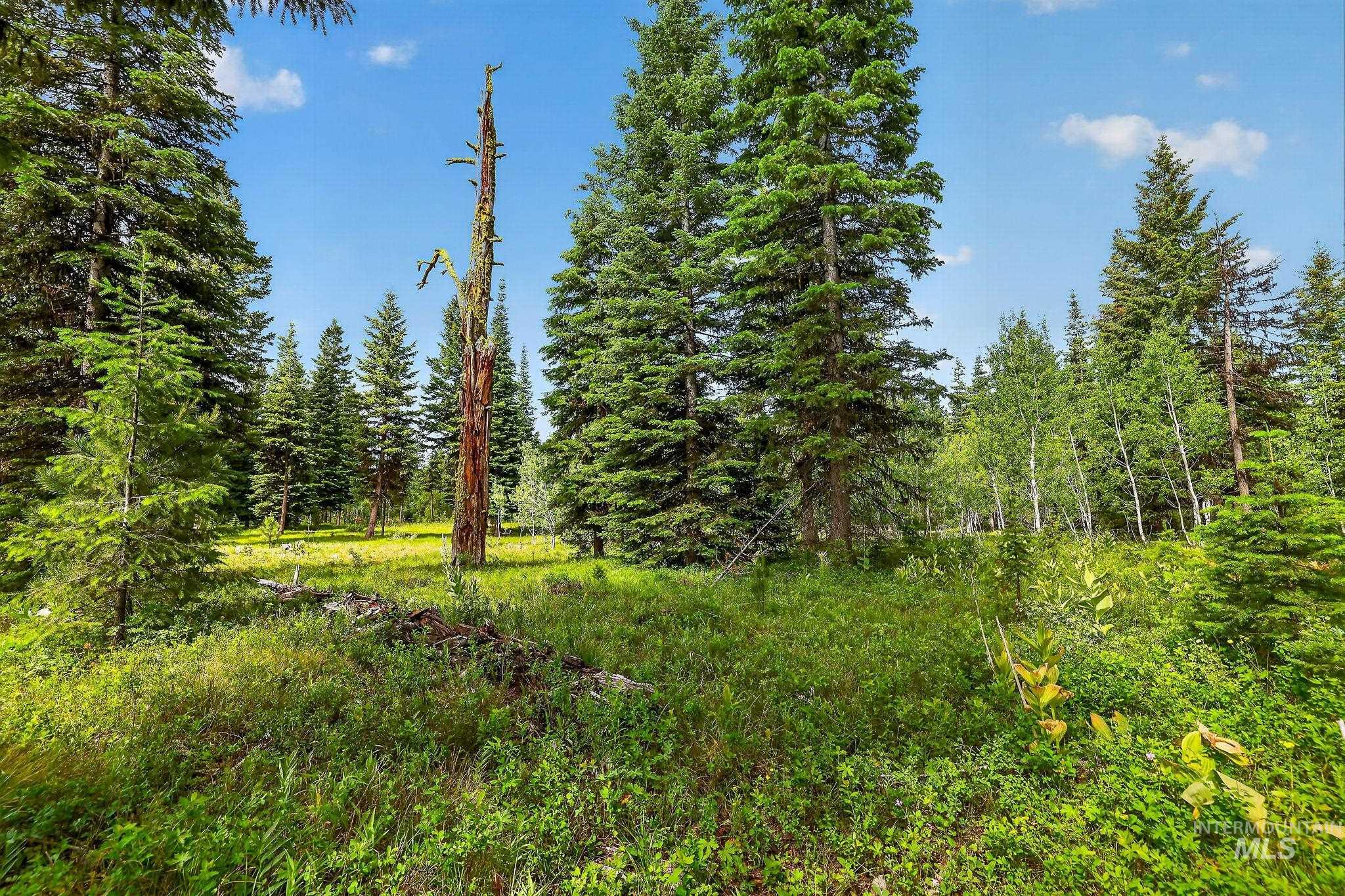 Tbd Sundance Dr Property Photo 13
