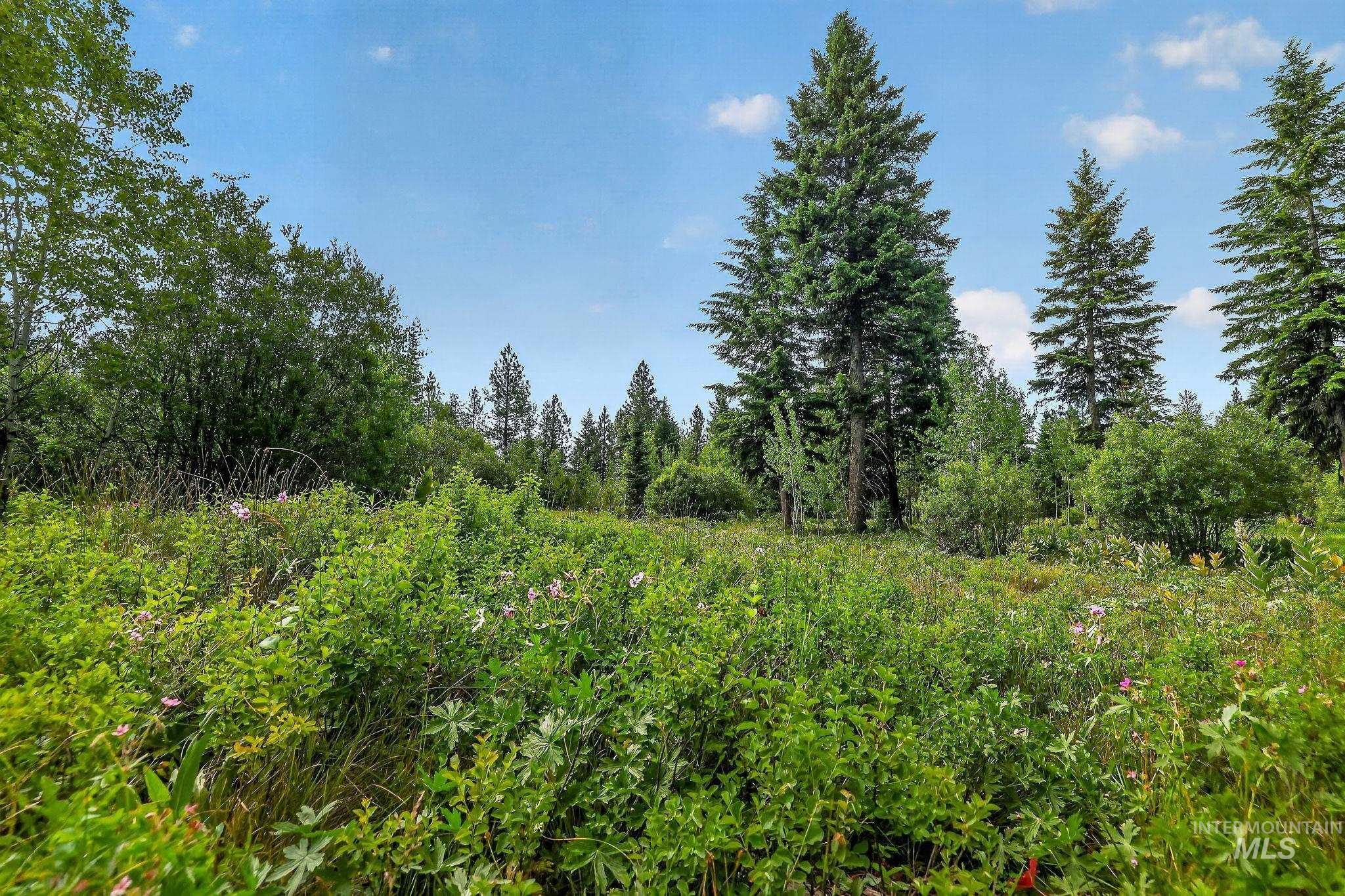 Tbd Sundance Dr Property Photo 14