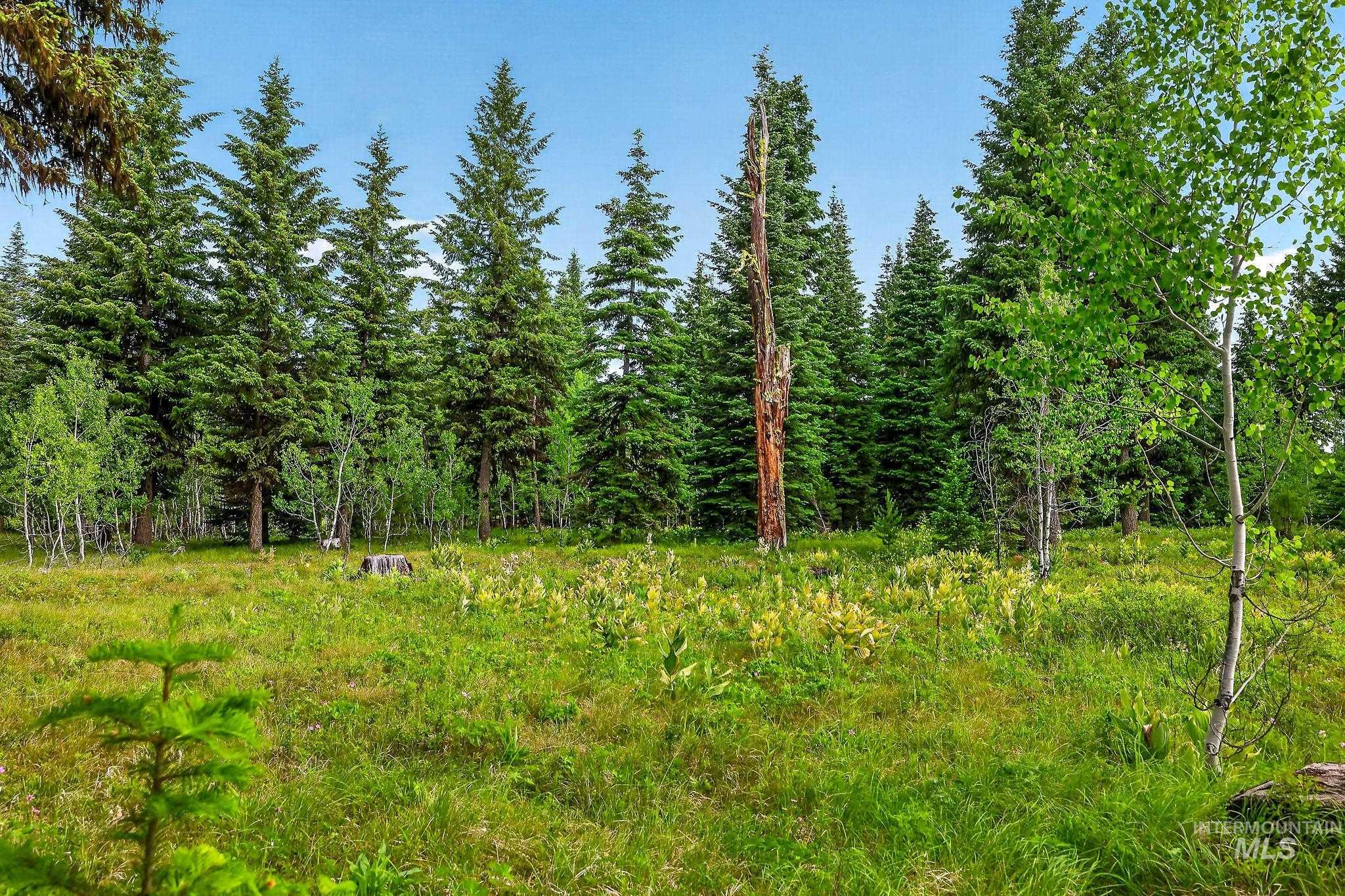 Tbd Sundance Dr Property Photo 15