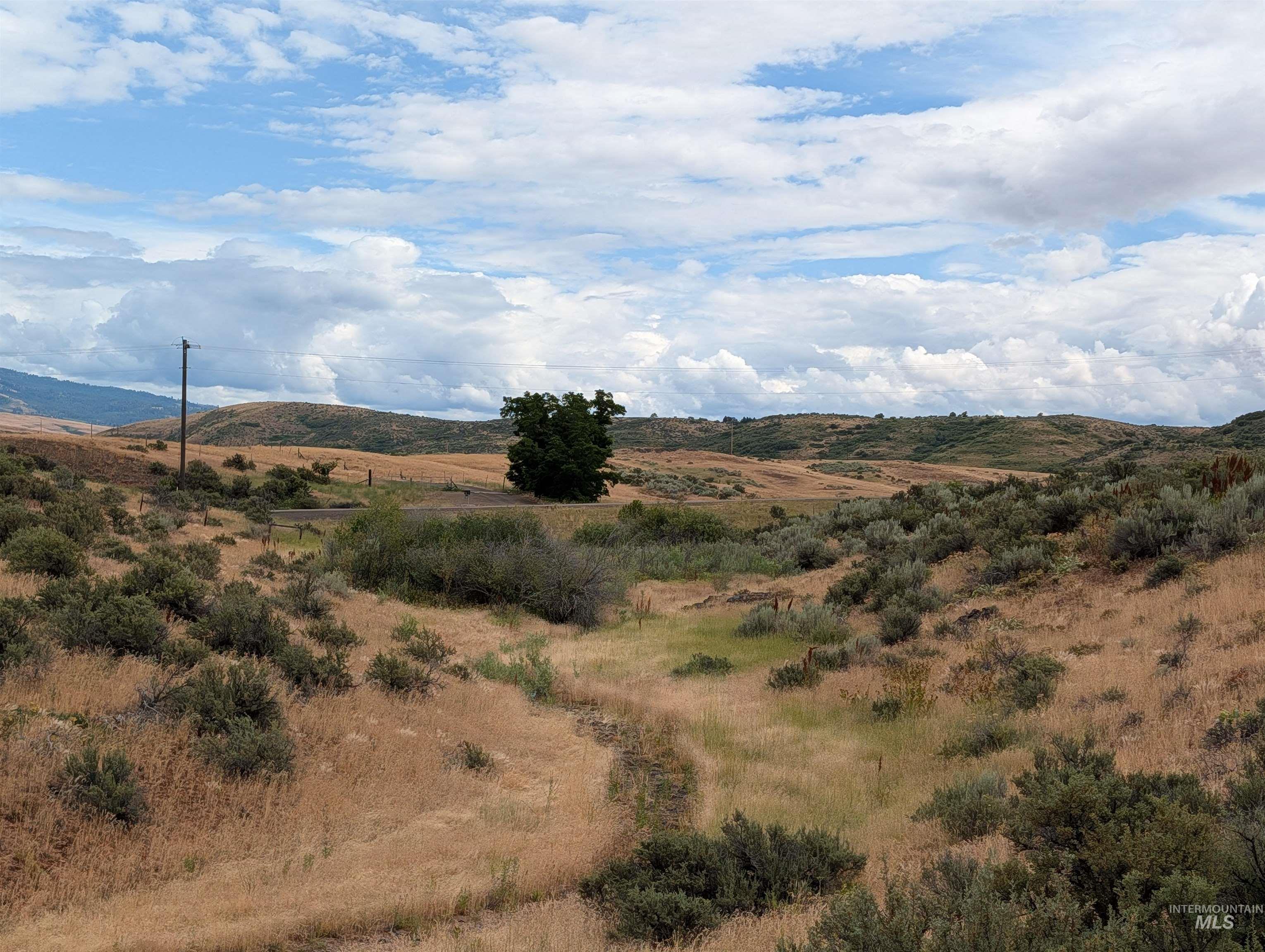 Tbd Shaw Lane Property Photo 13