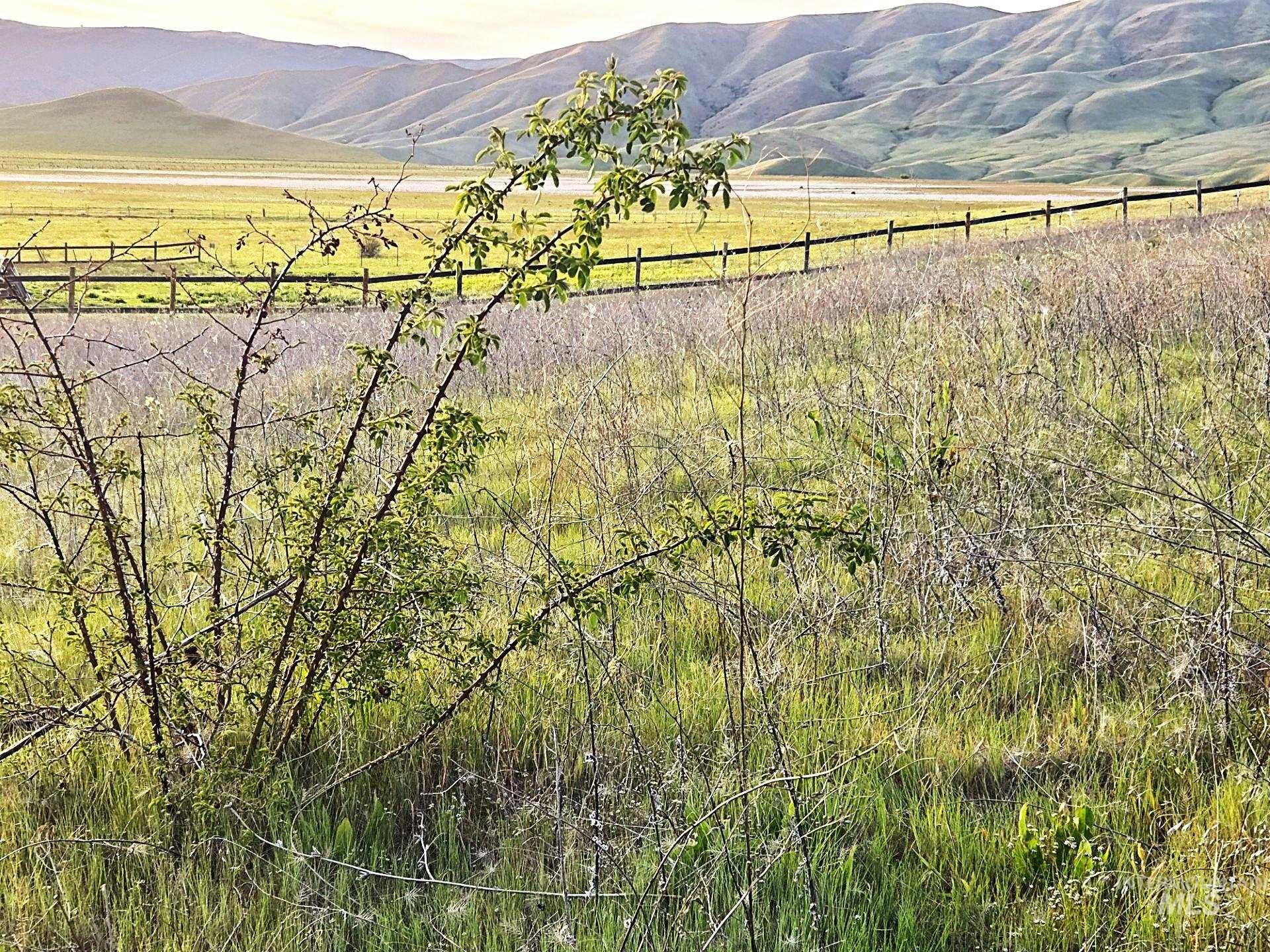 Tbd Bethel Rd Property Photo 15