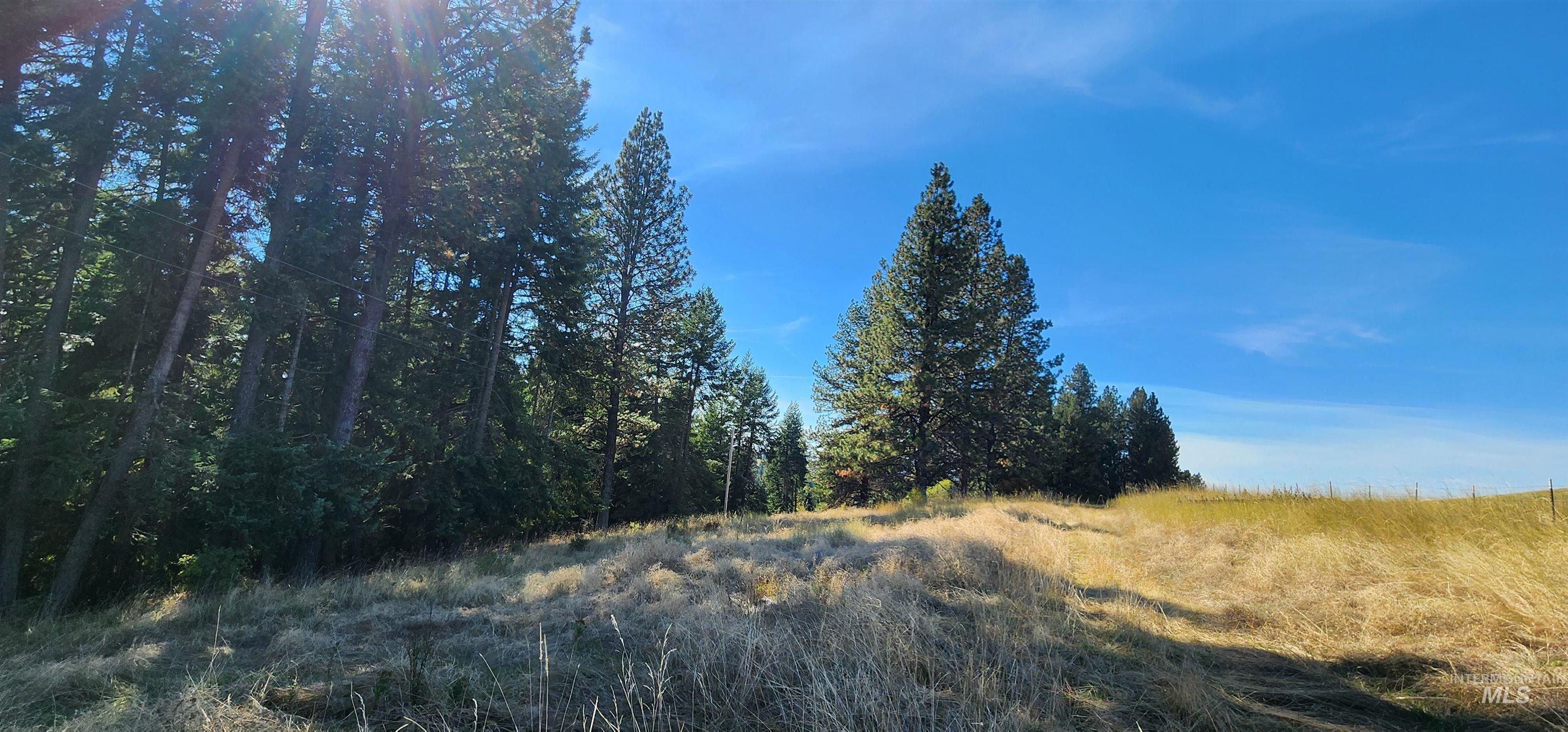 Tbd Red Fir Rd Property Photo 5