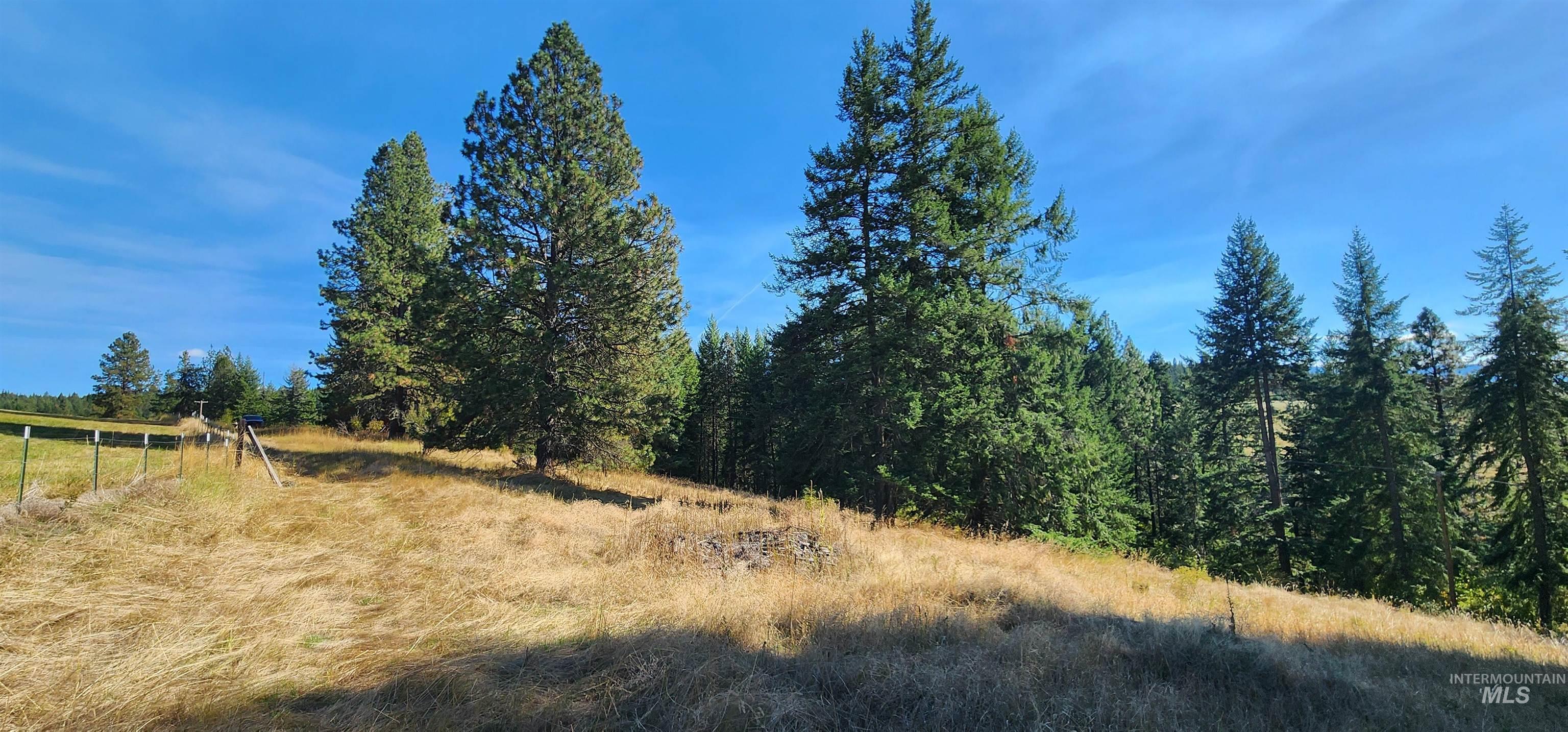 Tbd Red Fir Rd Property Photo 13
