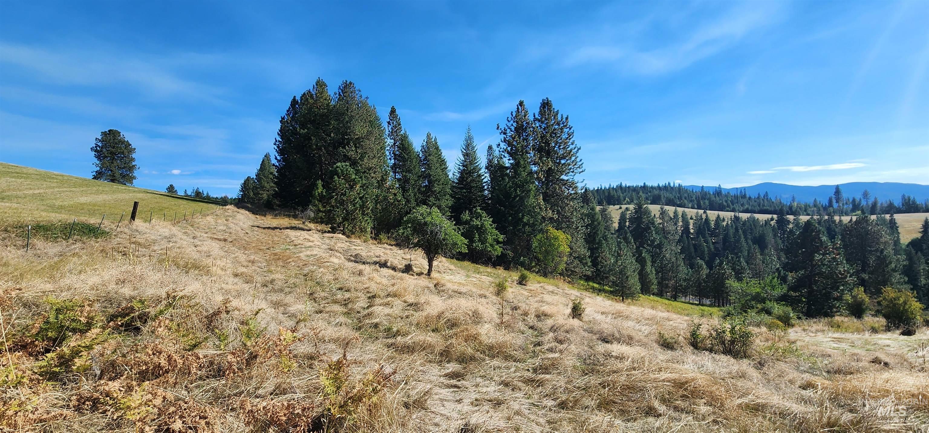 Tbd Red Fir Rd Property Photo 15
