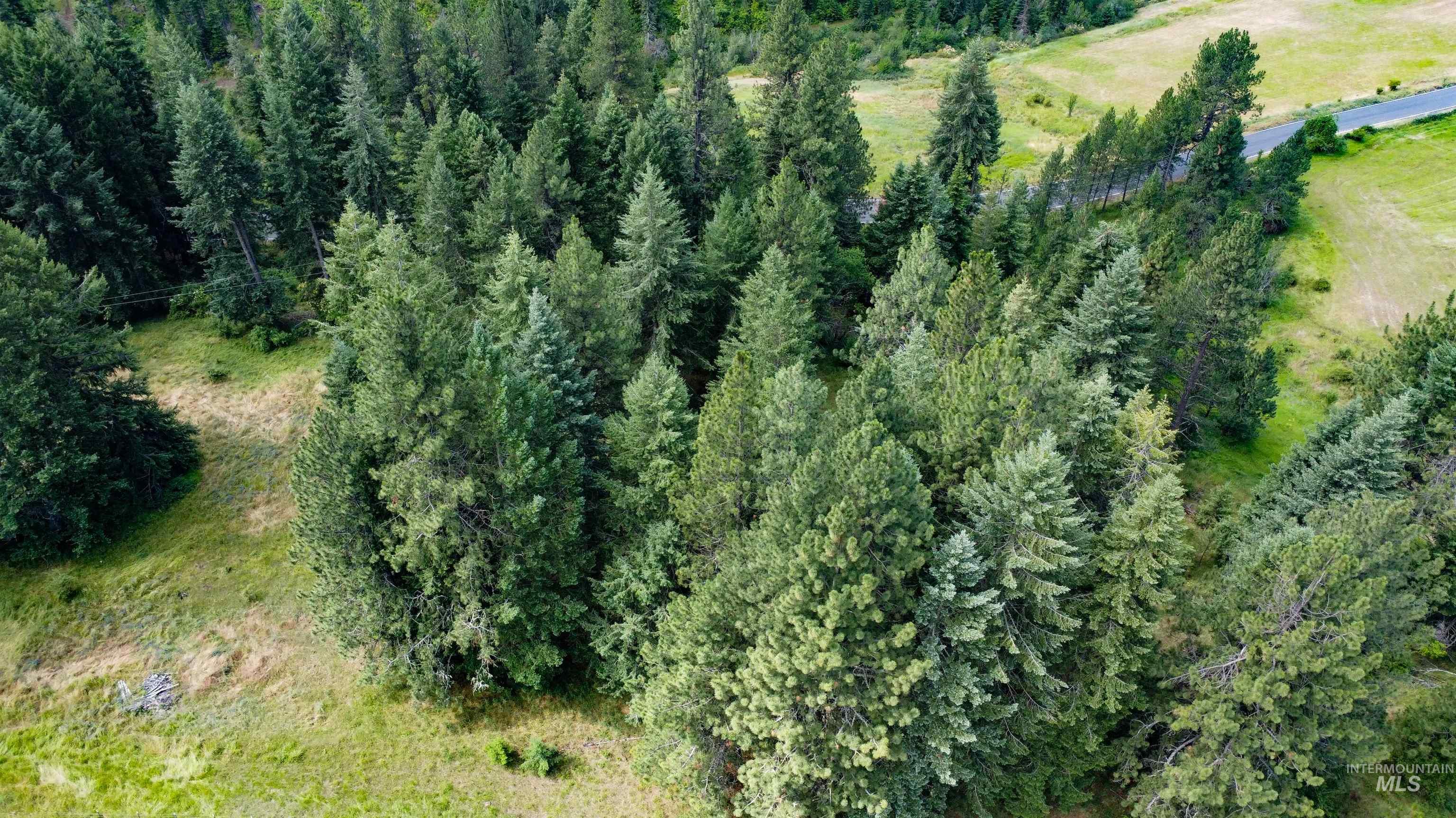 Tbd Red Fir Rd Property Photo 31
