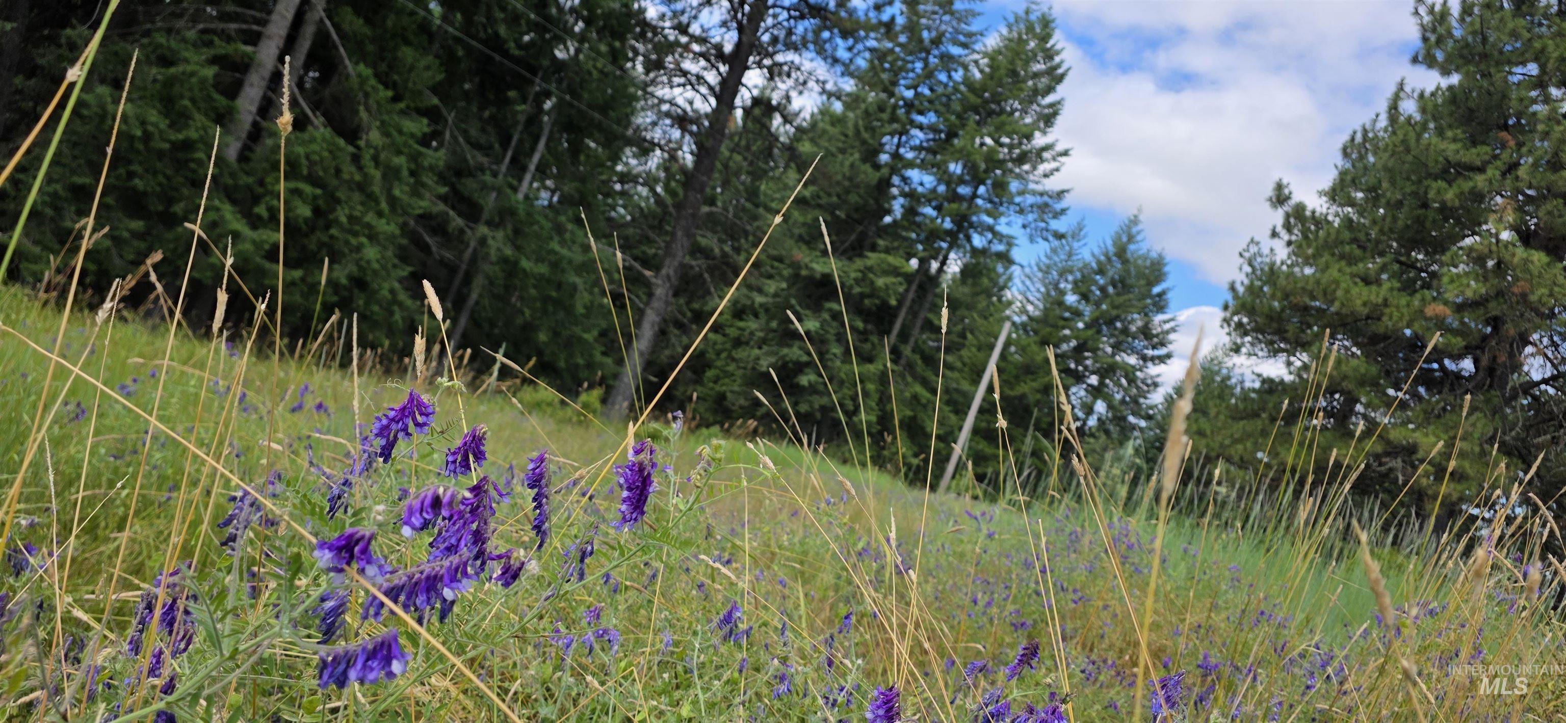 Tbd Red Fir Rd Property Photo 34