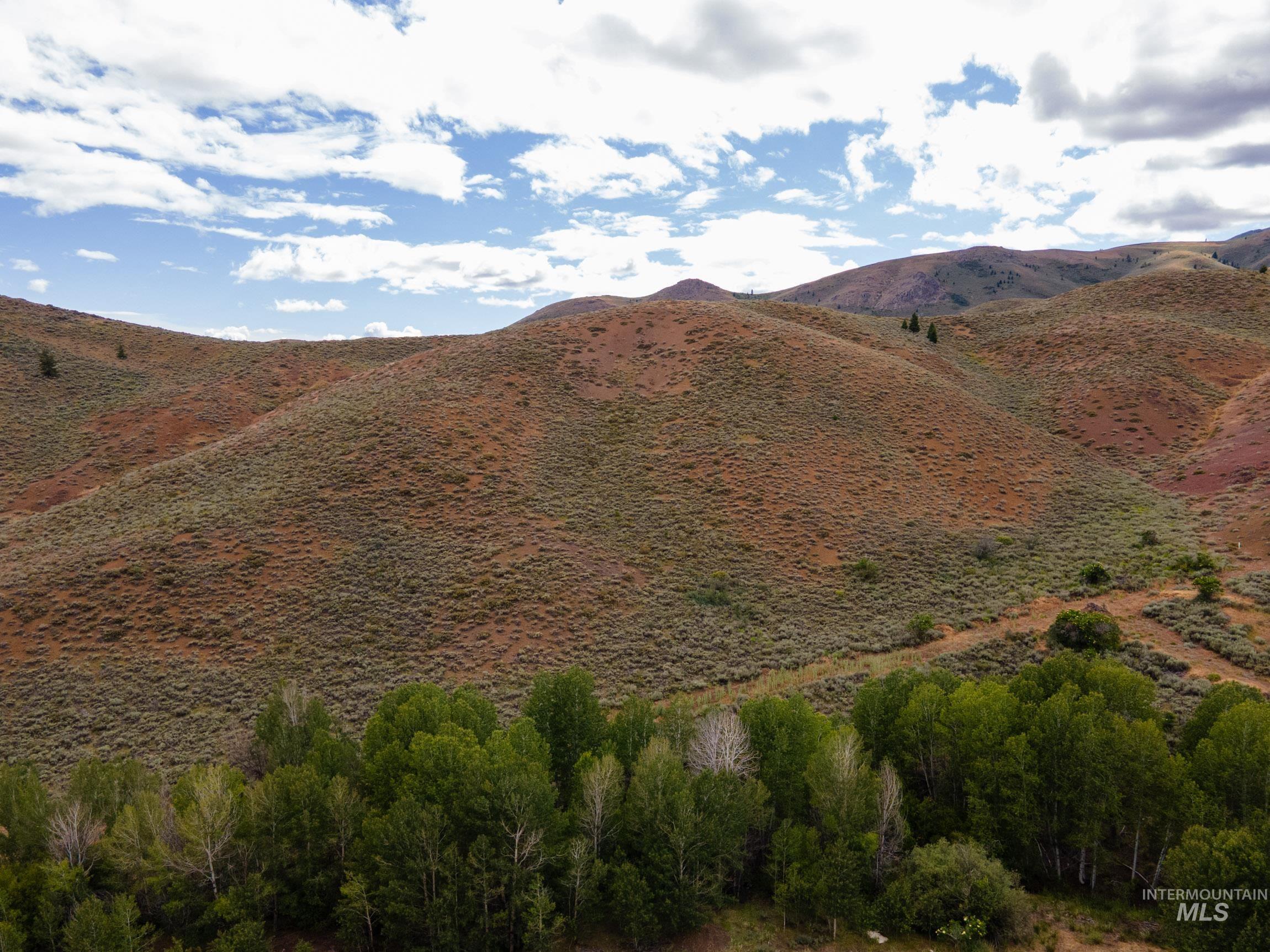 135 Bullion Gulch Rd Property Photo 3